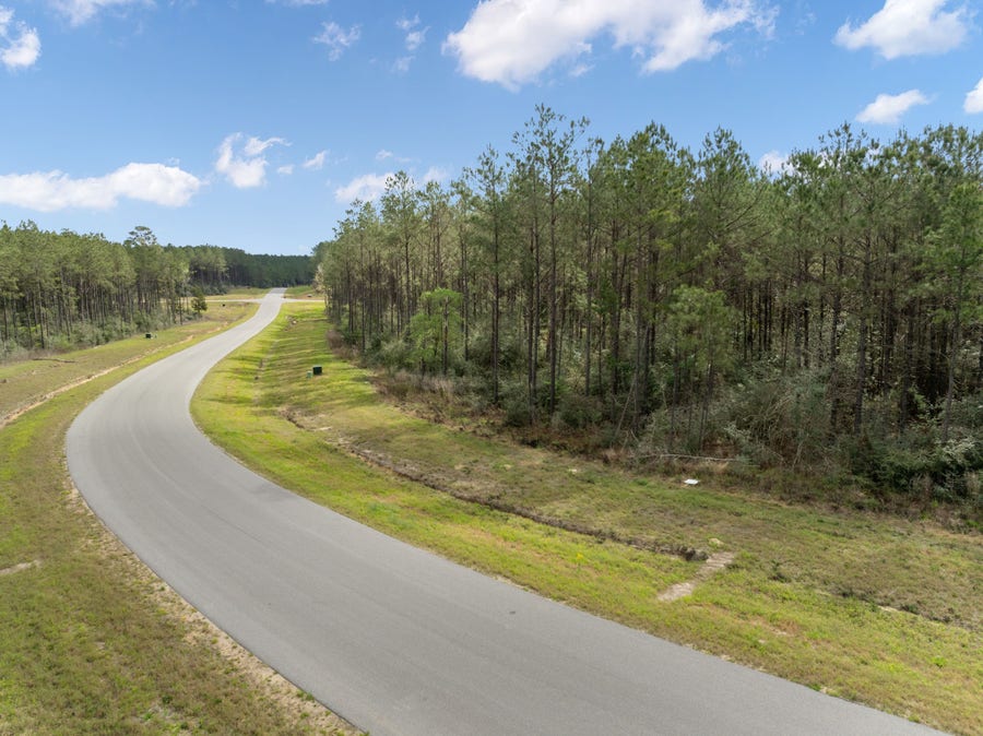 Property photo for 16039 Forest Mill Road, Willis, TX