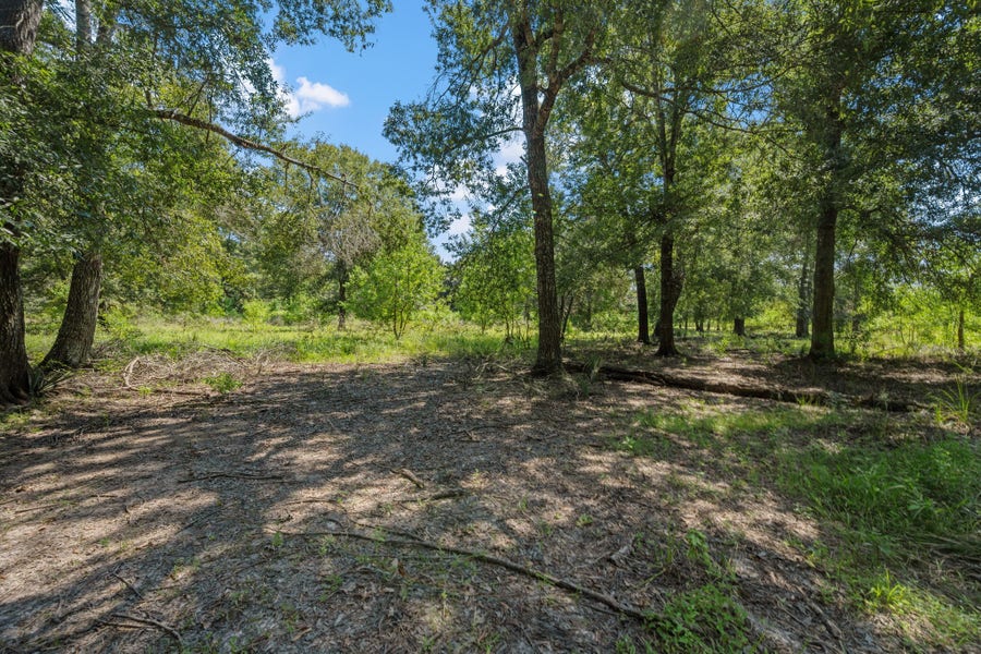 Property photo for 26092 Deerbrook Drive, Splendora, TX