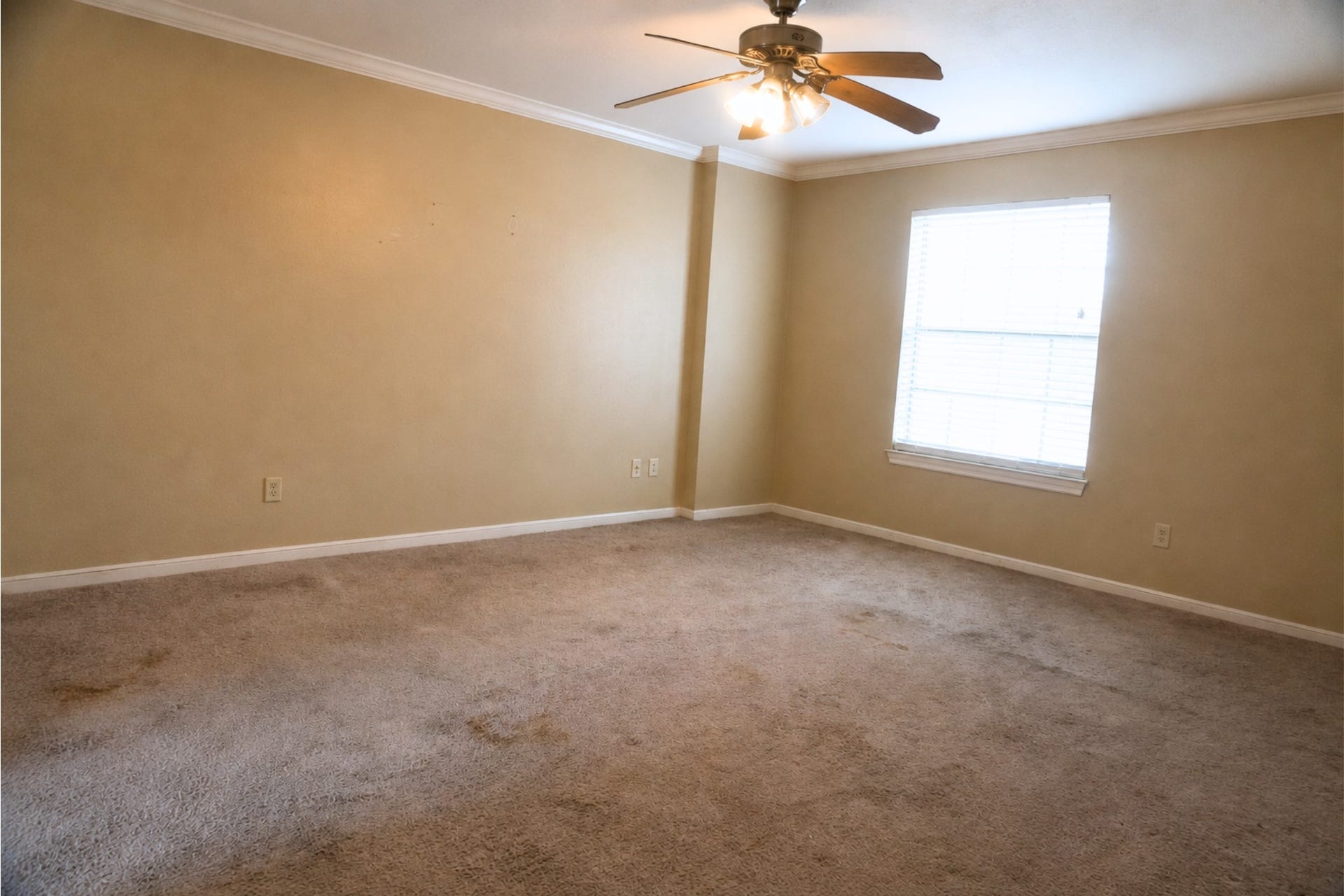 14423 Redbud Valley Trail, Houston, TX 77062 14423 Redbud Valley Trail, Houston, TX 77062