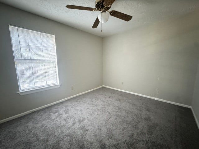 311 Birch Hill Drive, Sugar Land, TX 77479 311 Birch Hill Drive, Sugar Land, TX 77479