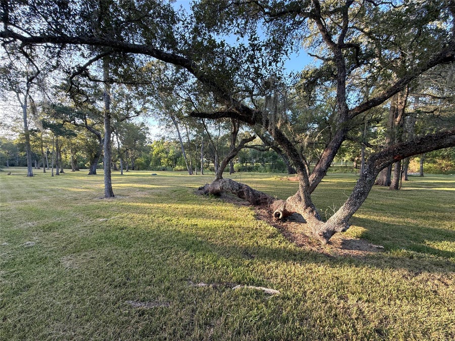 Property photo for 0 River Oaks Road, Damon, TX
