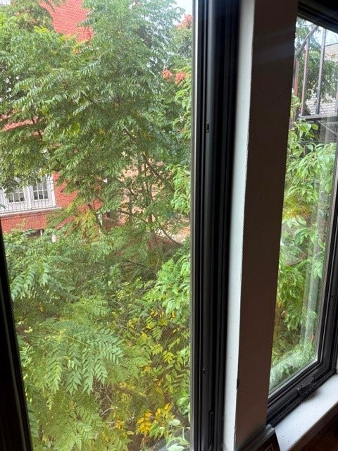 804 Marshall Street, Houston, TX 77006 804 Marshall Street, Houston, TX 77006