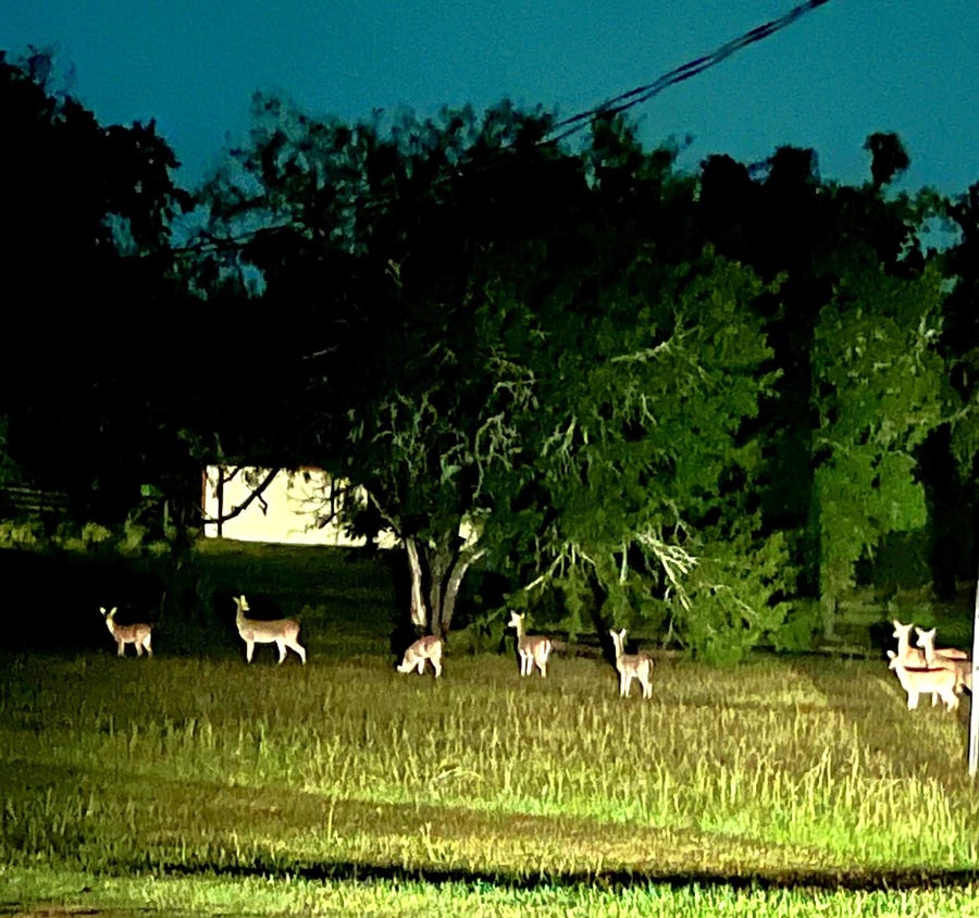 Property photo for 2217 Creek Road, Brookshire, TX