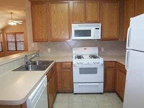 18919 Candlelight Crescent Road, Spring, TX 77388
