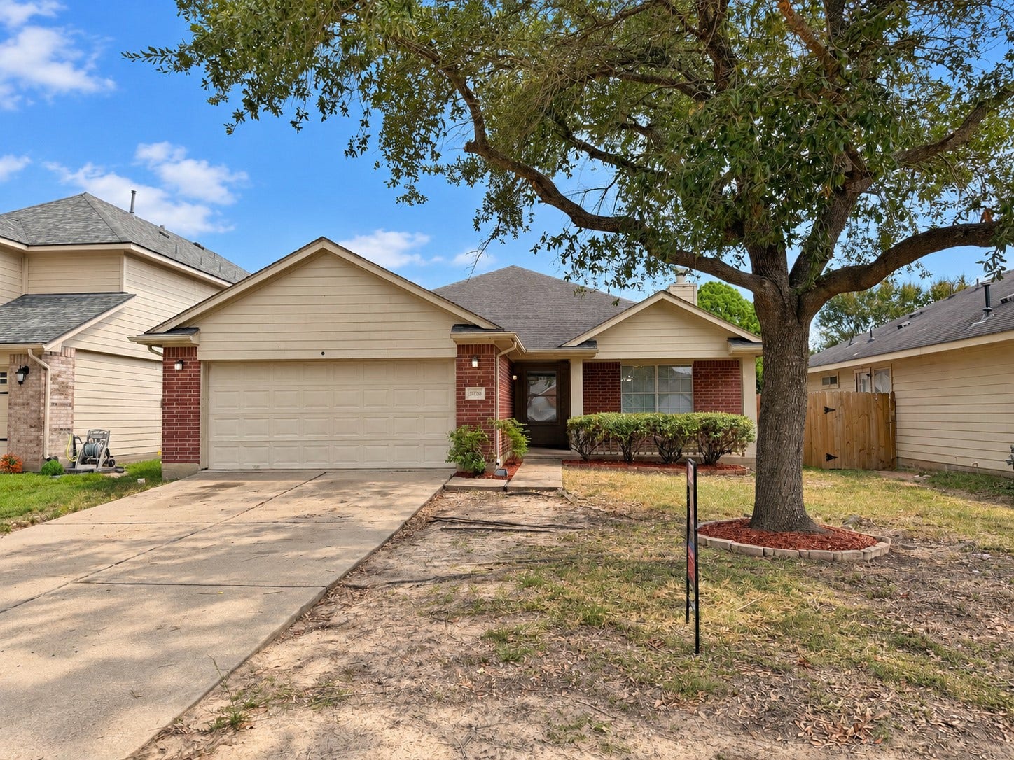 Beautiful front yard shade tree
