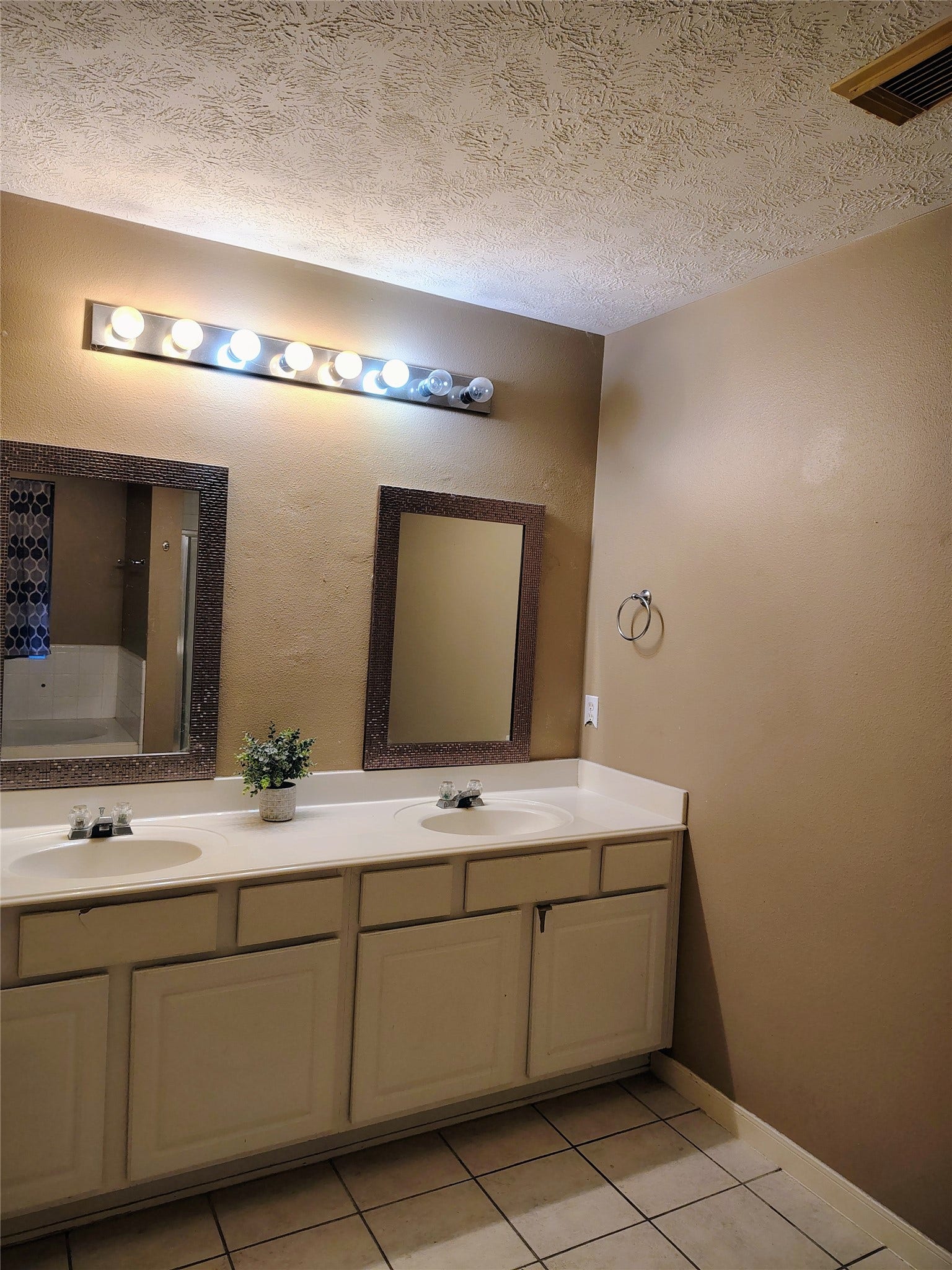 3443 Shore Shadows Drive, Crosby, TX 77532 His & Her sinks