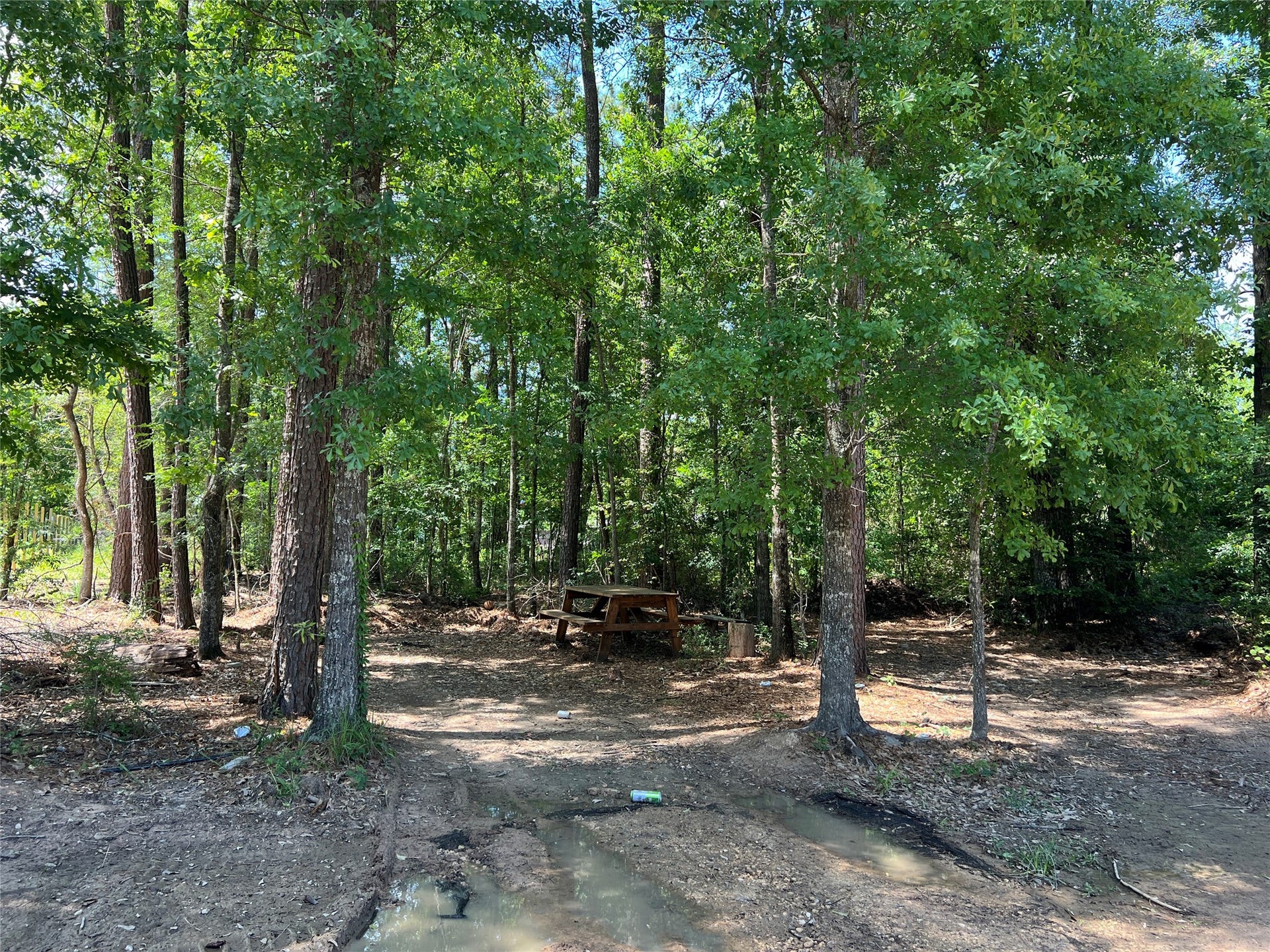 000 Three South, Splendora, TX 77372