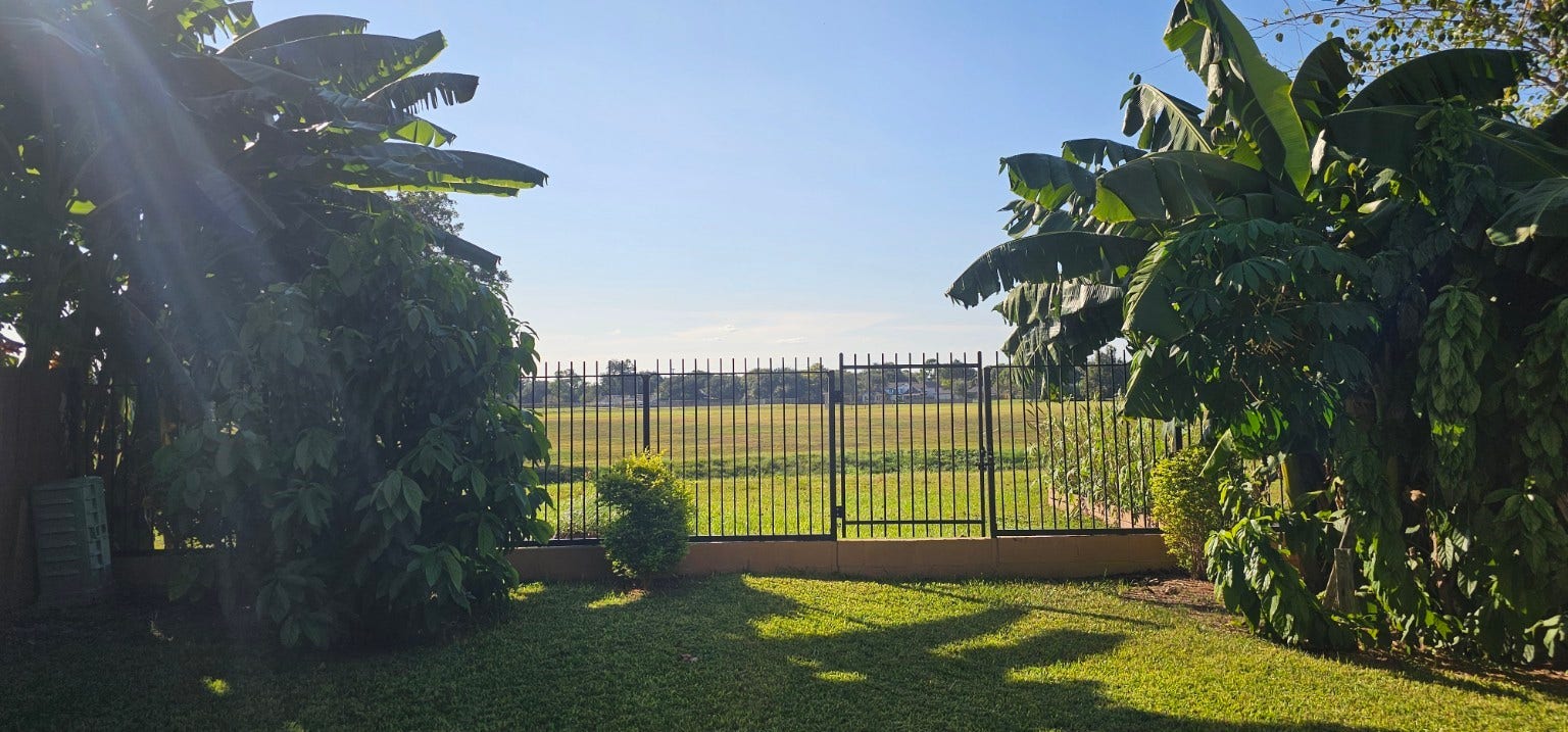 4206 Palmer Plantation Drive, Missouri City, TX 77459 4206 Palmer Plantation Drive, Missouri City, TX 77459