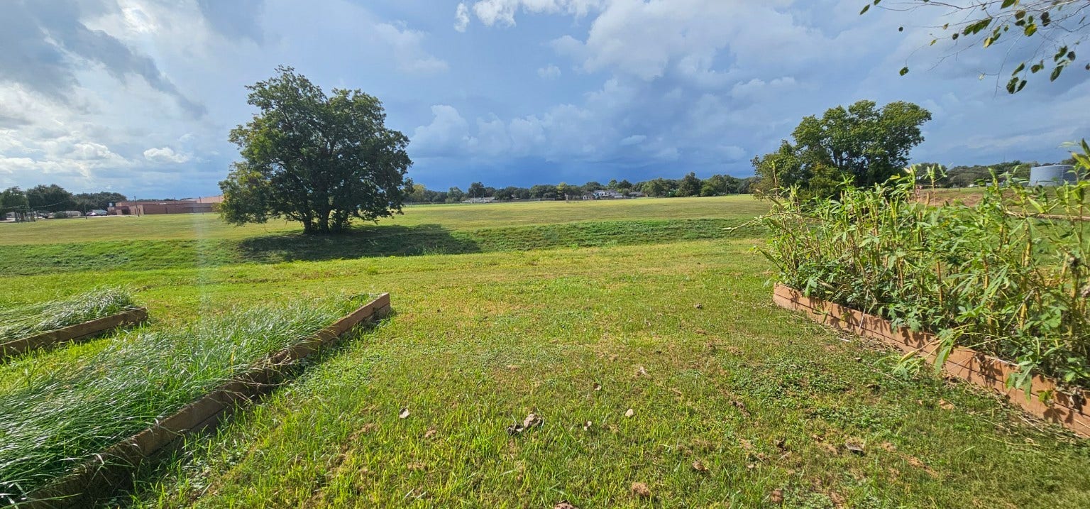 4206 Palmer Plantation Drive, Missouri City, TX 77459 4206 Palmer Plantation Drive, Missouri City, TX 77459