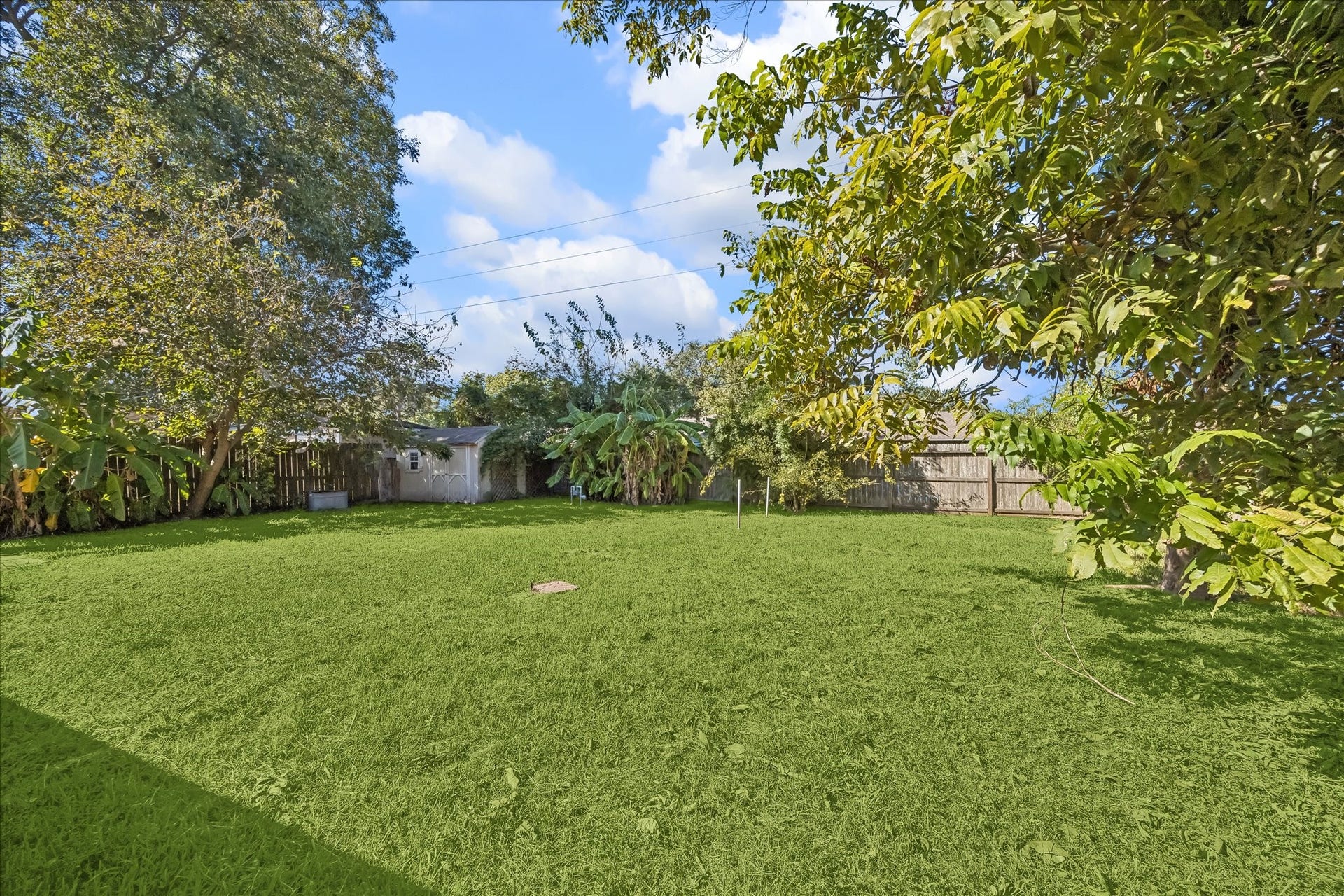 7824 Yucca Drive, Texas City, TX 77591 The spacious backyard has producing lime and banana trees for your enjoyment!