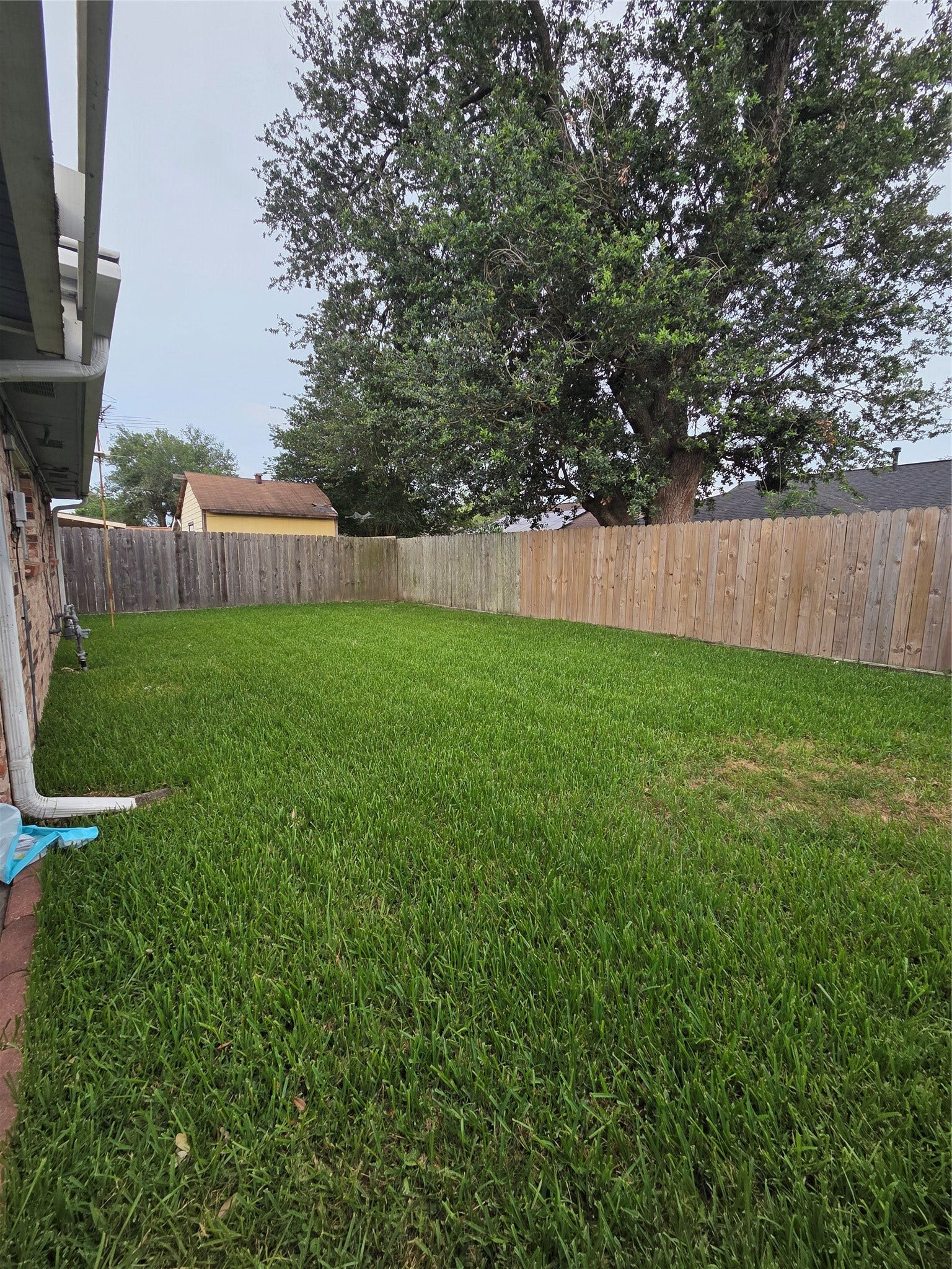 1518 Wentwood Drive, Pasadena, TX 77504 Backyard