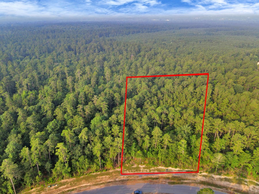 Property photo for 15365 Red Hawk Road, Willis, TX