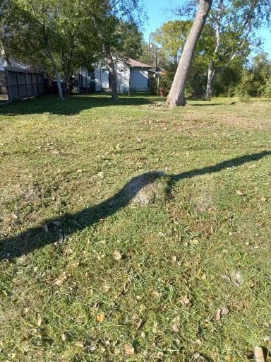 Property photo for 3107 Lelia Street, Houston, TX