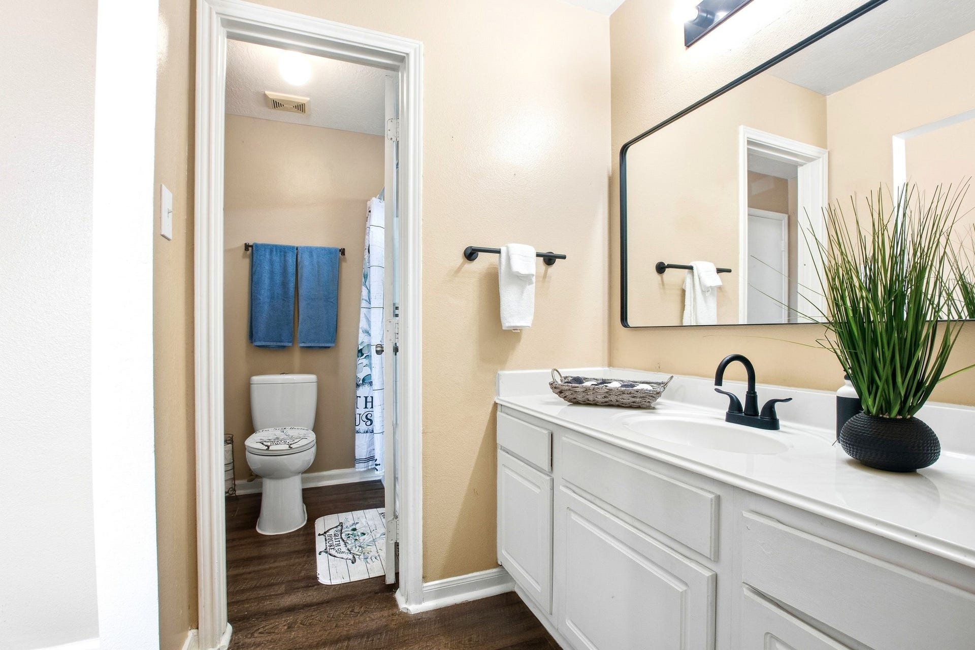 Jack and Jill bathroom