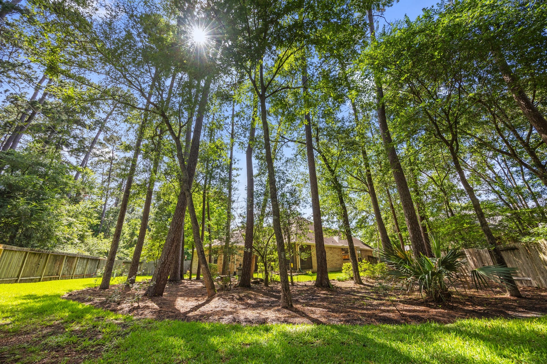 2 Gilded Crest Court, The Woodlands, TX 77382 Gorgeous trees and landscaping in this oversized lot.