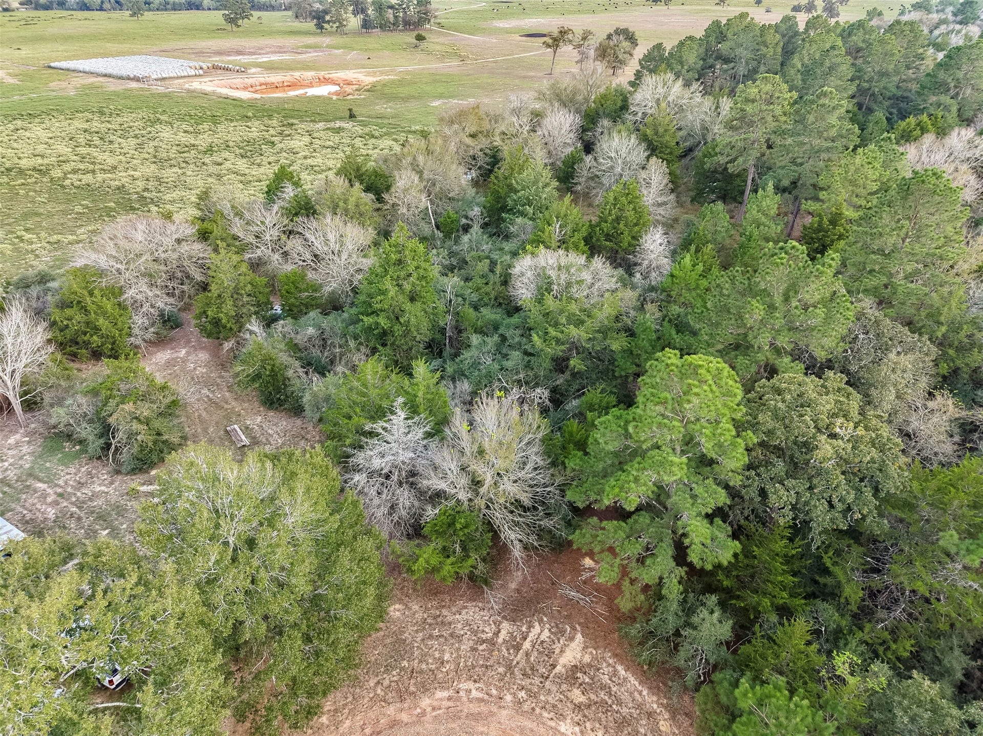 0 Redwood Drive, Hempstead, TX 77445 0 Redwood Drive, Hempstead, TX 77445