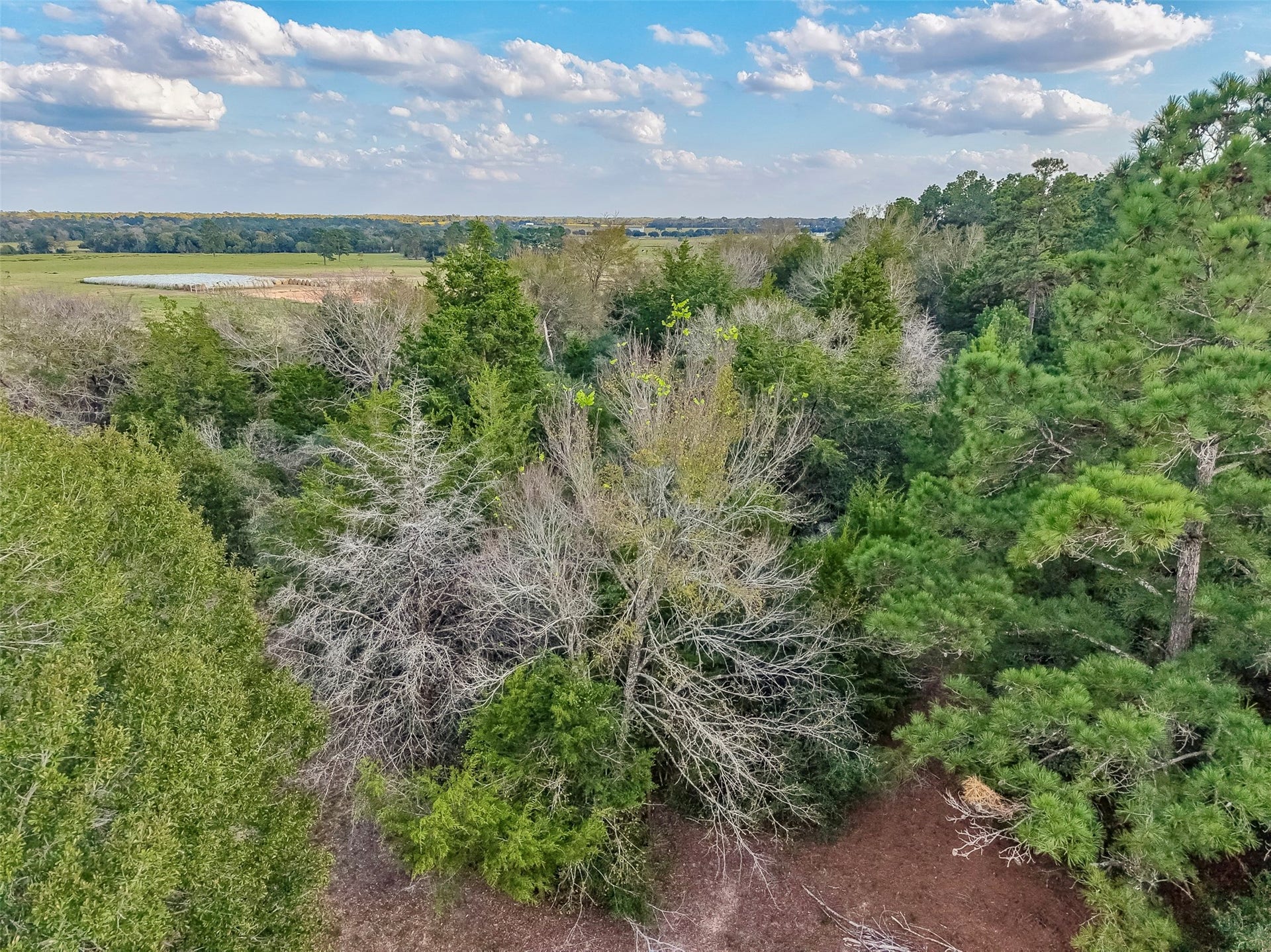 0 Redwood Drive, Hempstead, TX 77445 0 Redwood Drive, Hempstead, TX 77445