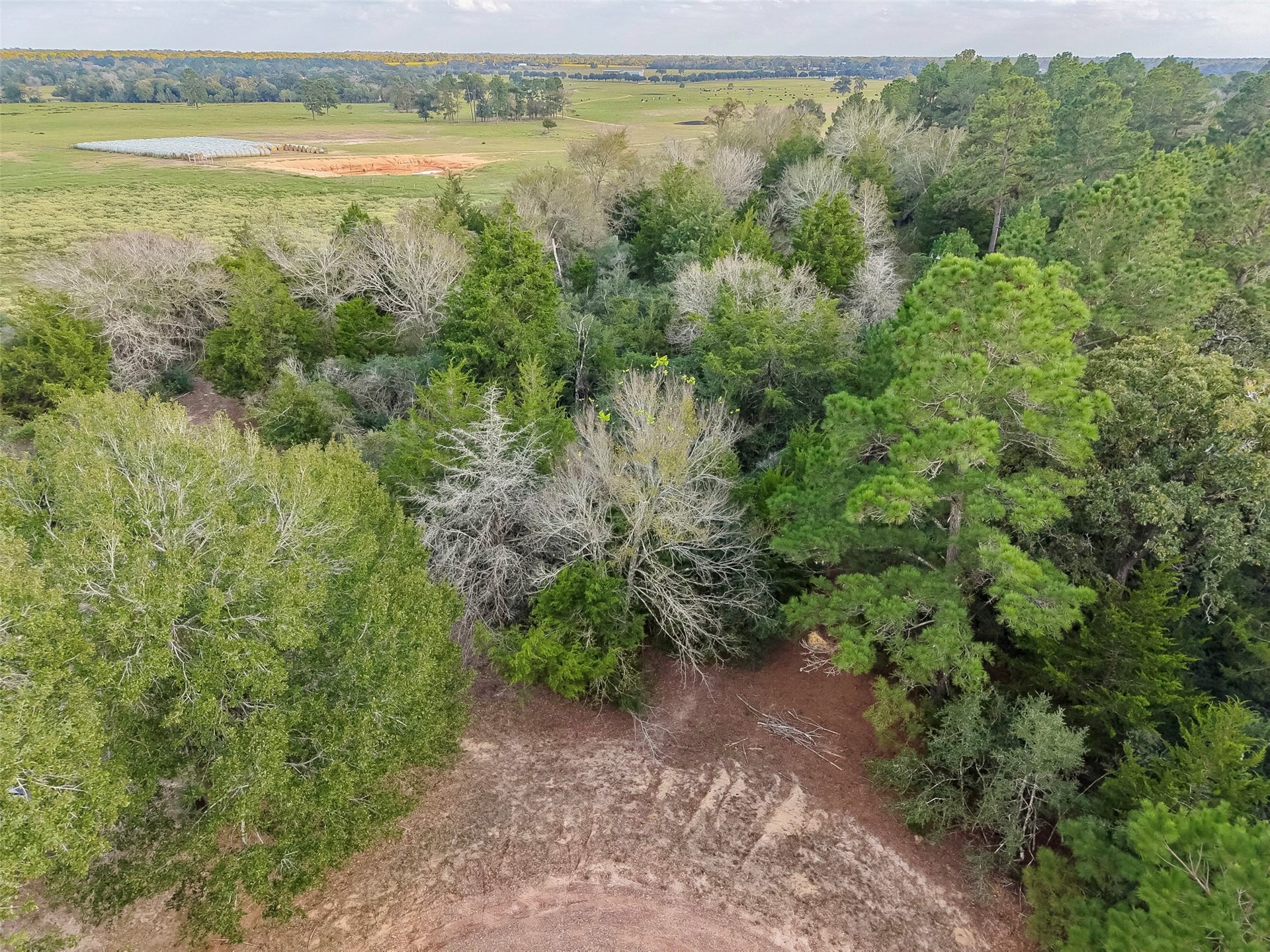 0 Redwood Drive, Hempstead, TX 77445 0 Redwood Drive, Hempstead, TX 77445