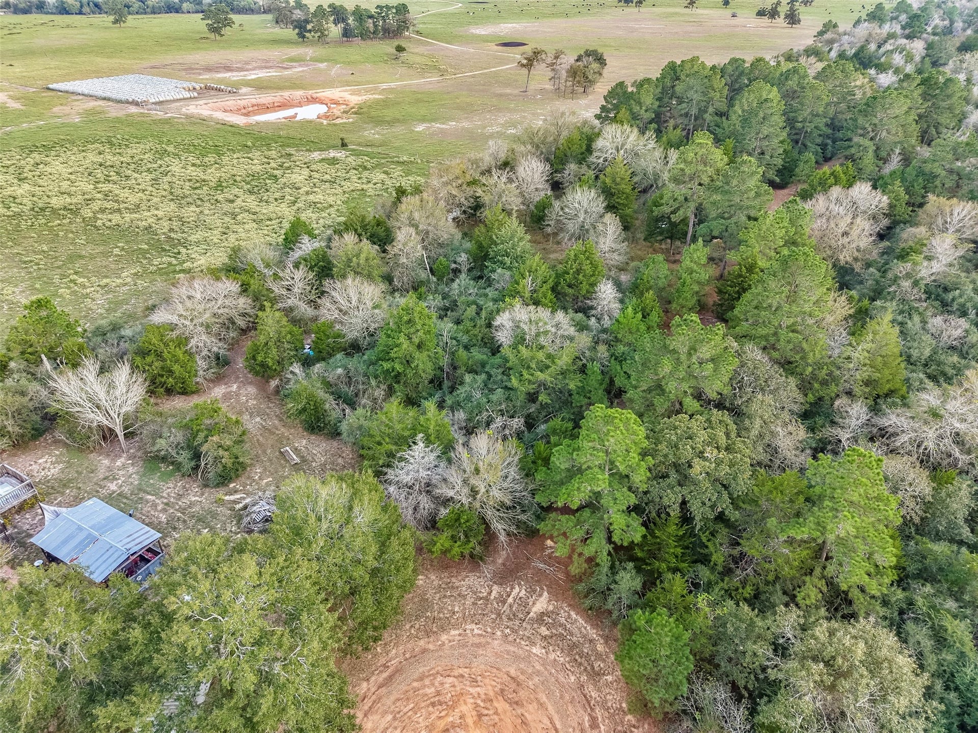 0 Redwood Drive, Hempstead, TX 77445 0 Redwood Drive, Hempstead, TX 77445