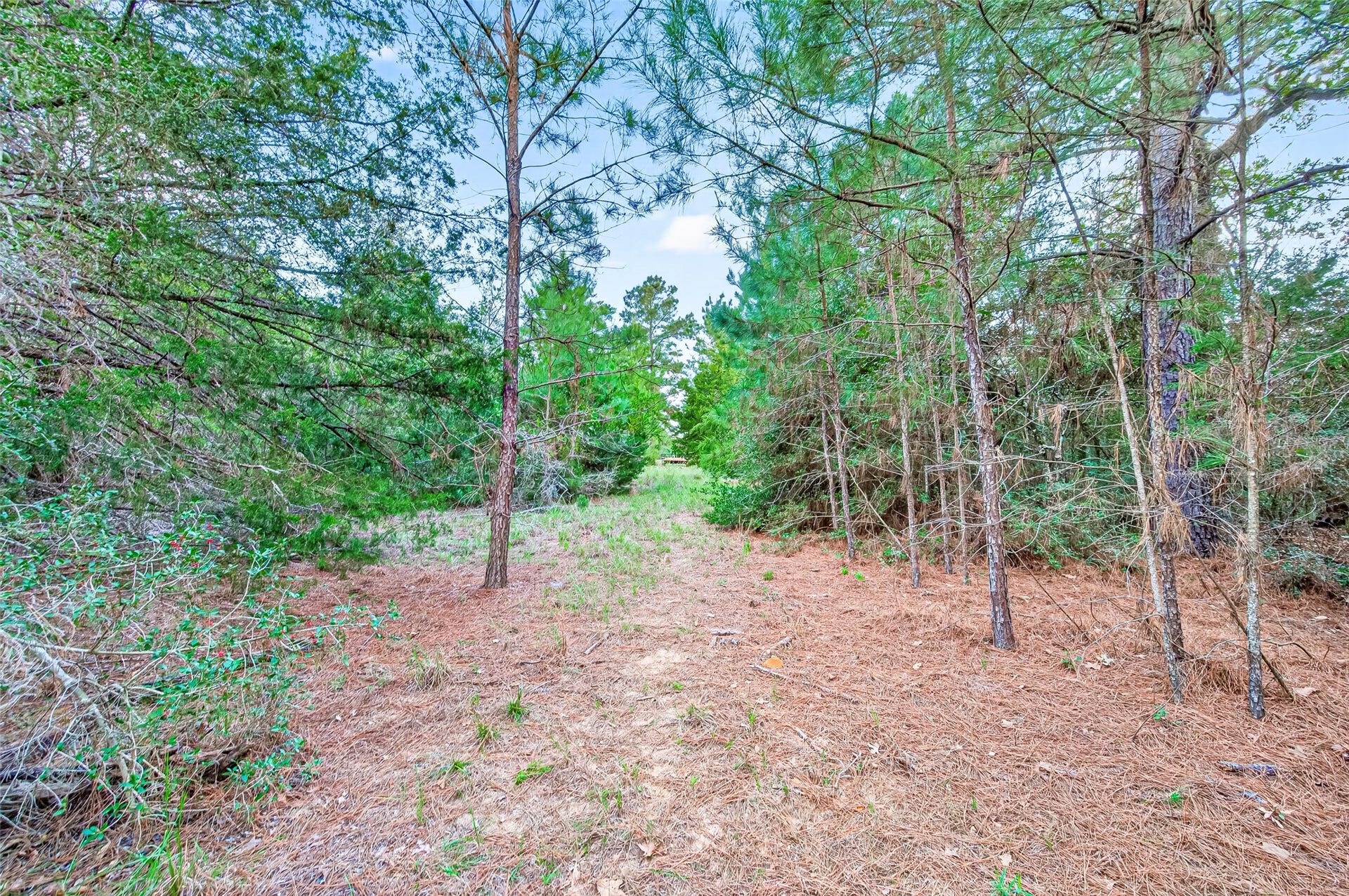0 Redwood Drive, Hempstead, TX 77445 0 Redwood Drive, Hempstead, TX 77445