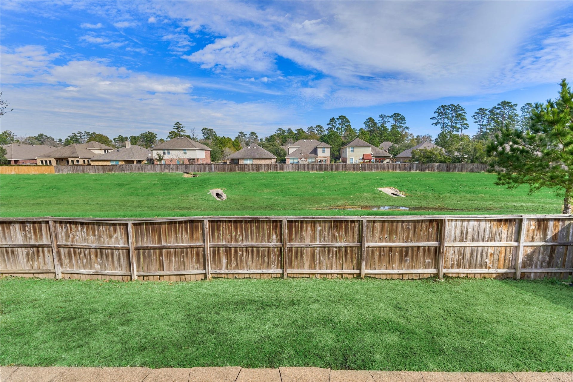 26 Black Swan Court, The Woodlands, TX 77354