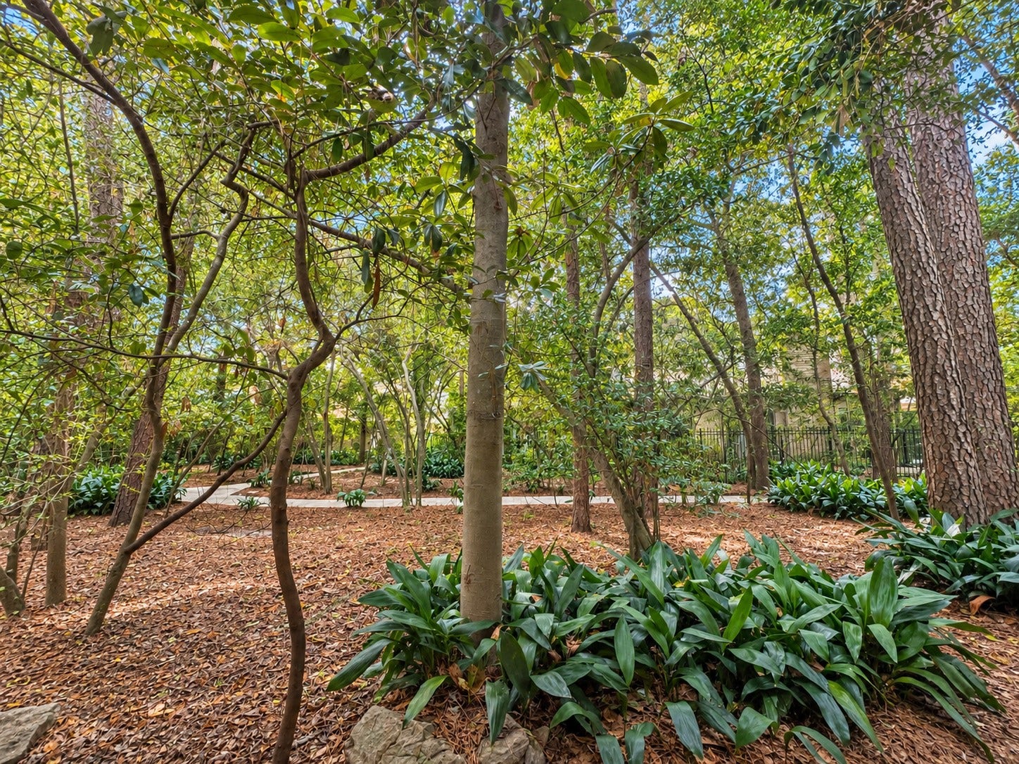 201 Vanderpool Lane, #86, Houston, TX 77024 great backyard view from sunny room