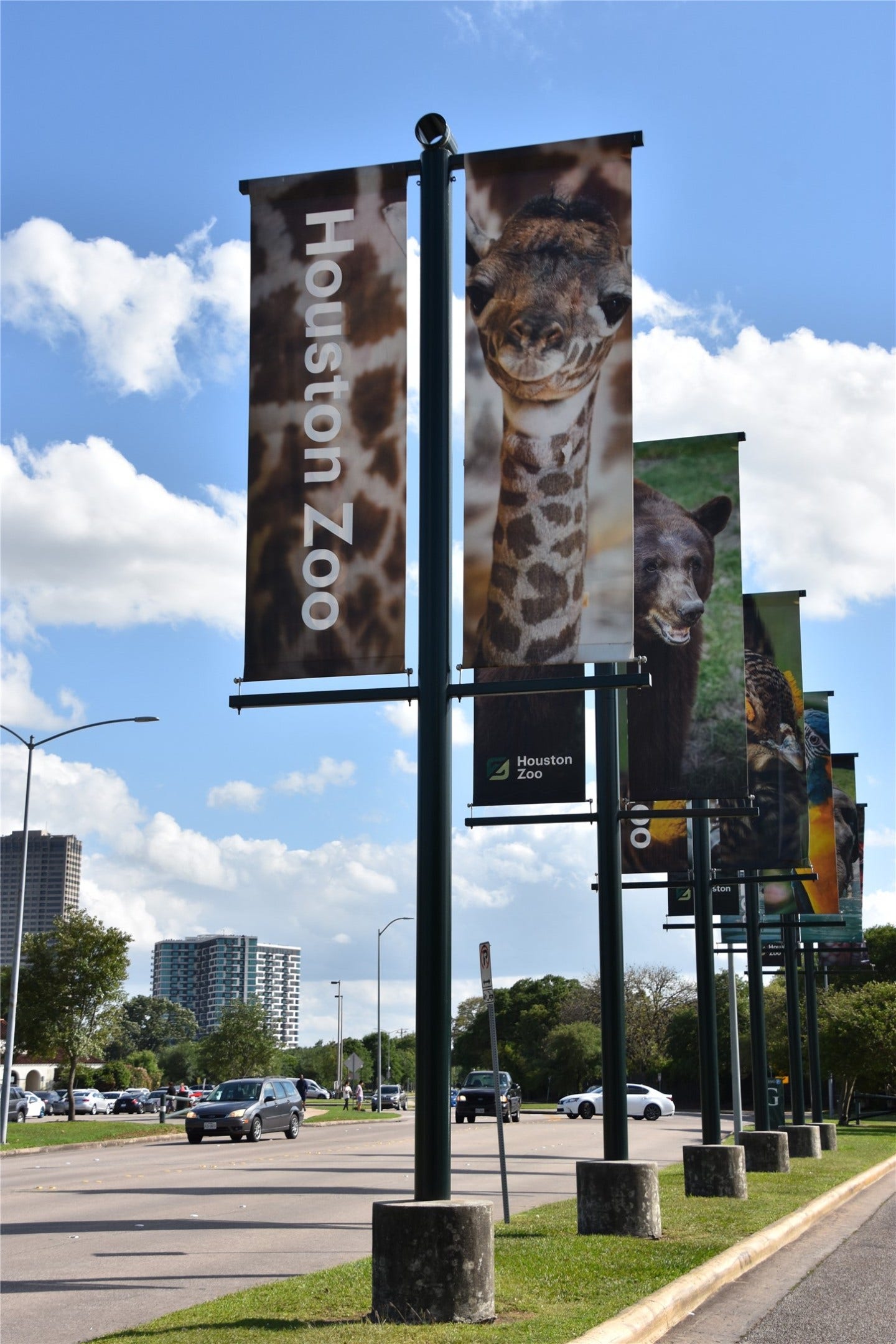 Herman Park! The parks expansive 445 acres include scenic walking trails, tranquil lakes, and cultural landmarks such as the Houston Zoo, Miller Outdoor Theatre, and the Japanese Garden.