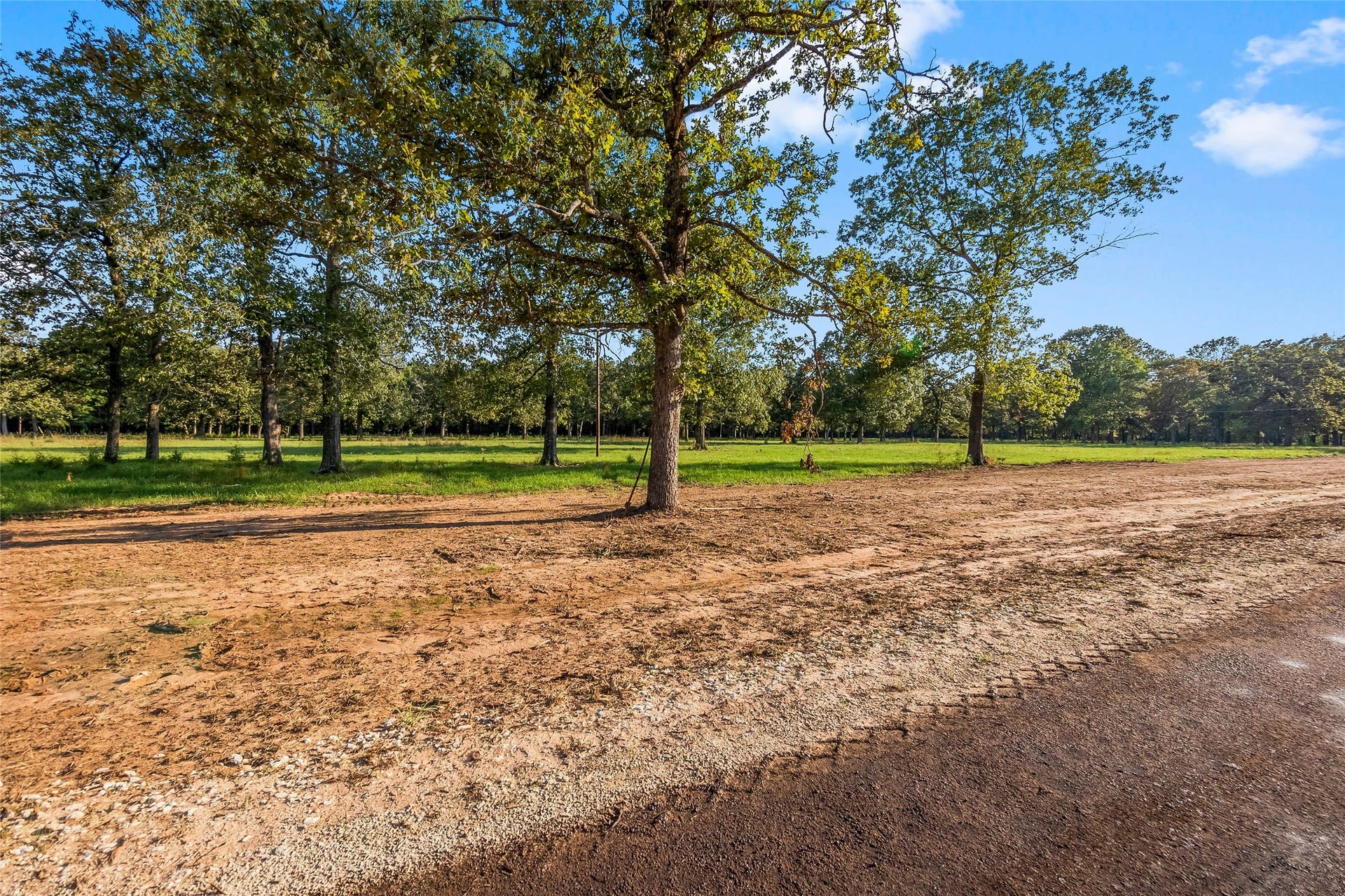 6142 Alans Memorial Lane, New Waverly, TX 77358 6142 Alans Memorial Lane, New Waverly, TX 77358