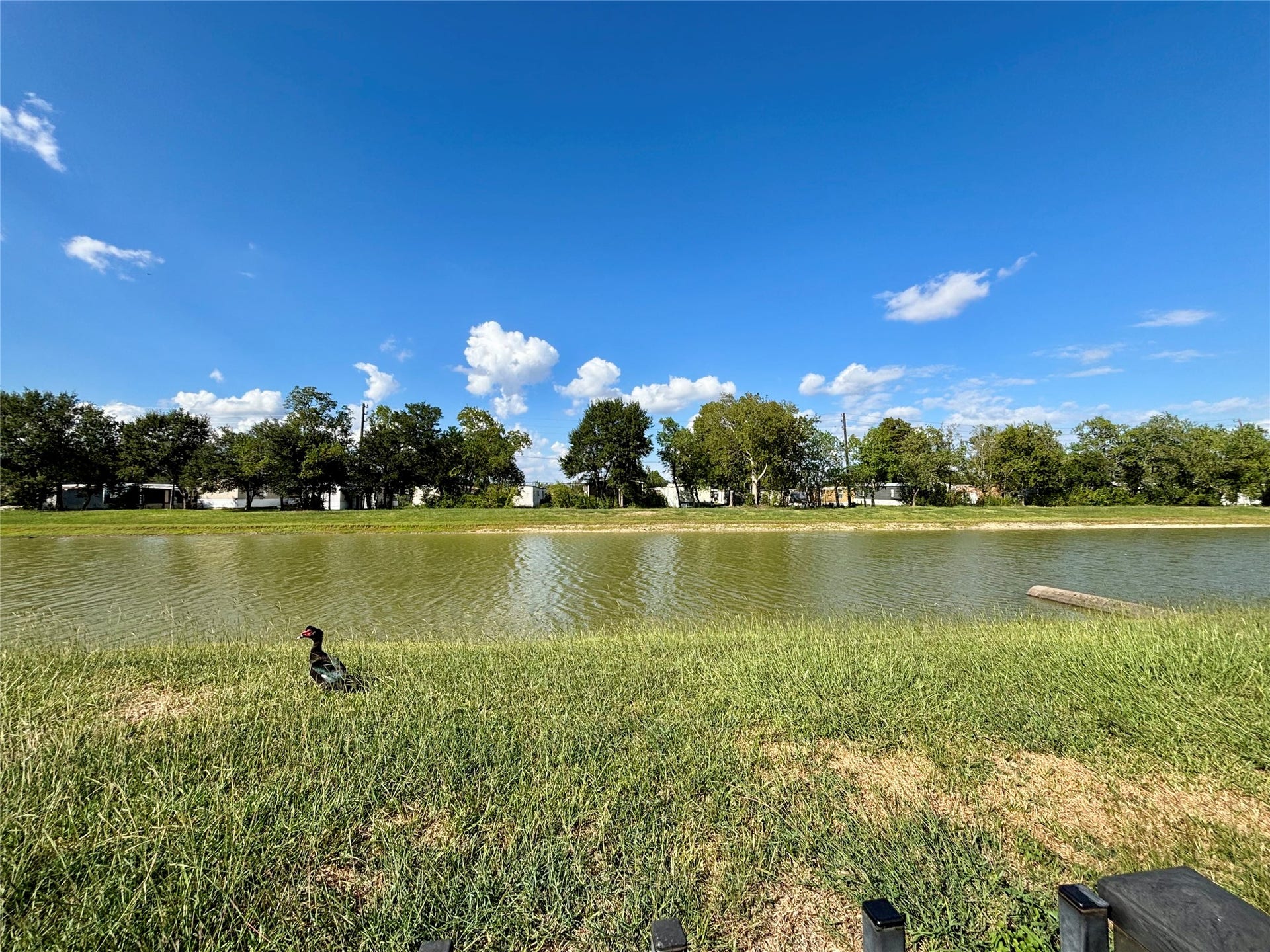 6013 Dublin Lane, Pearland, TX 77581 Backyard