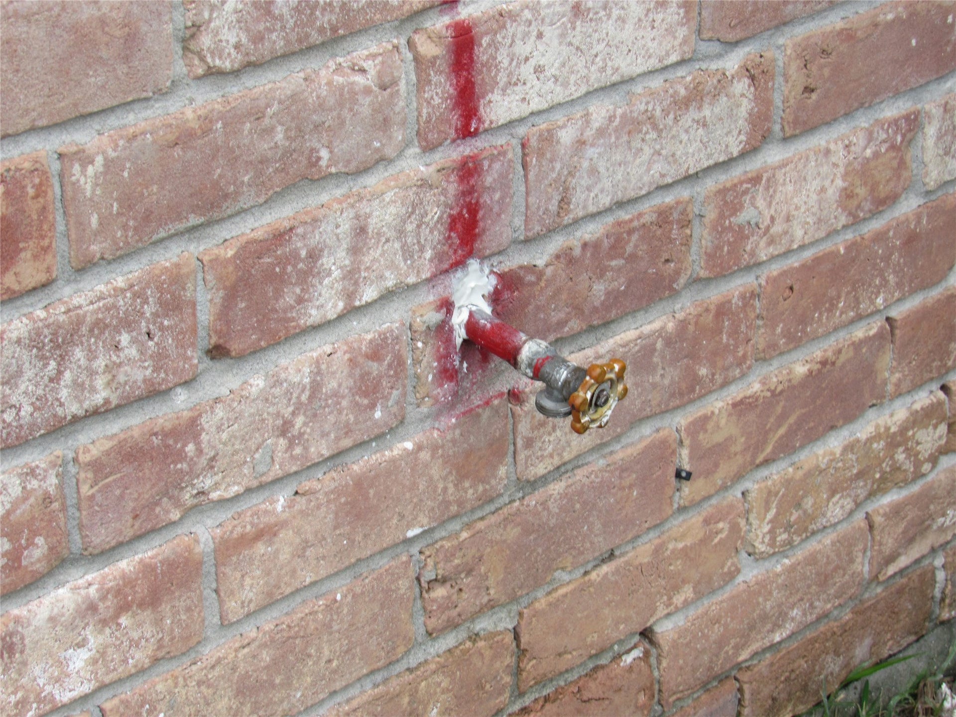Bib in the back side of the house.