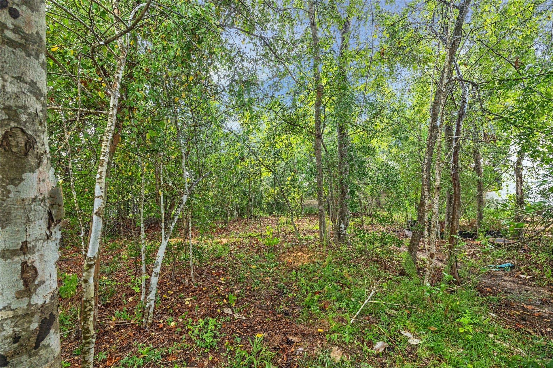 23 Pronghorn Place, Spring, TX 77389