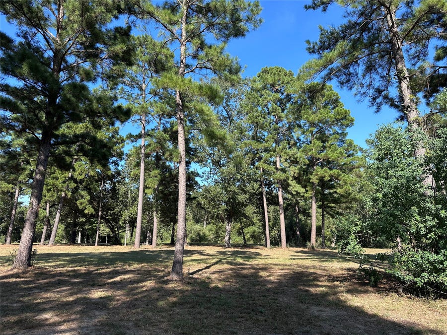 Property photo for 5.3 AC tbd -2 Spring Branch Rd, Montgomery, TX