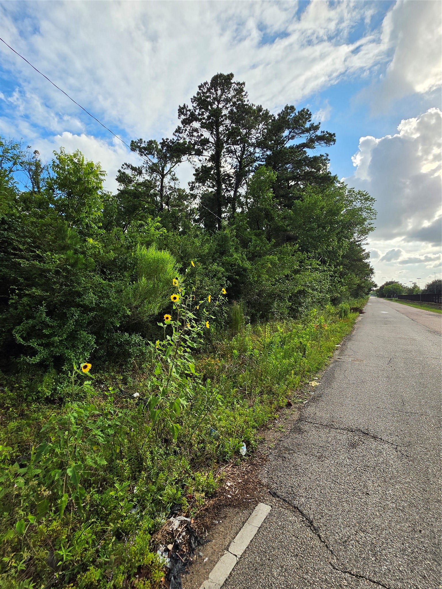 00 Penrod Street, Houston, TX 77028