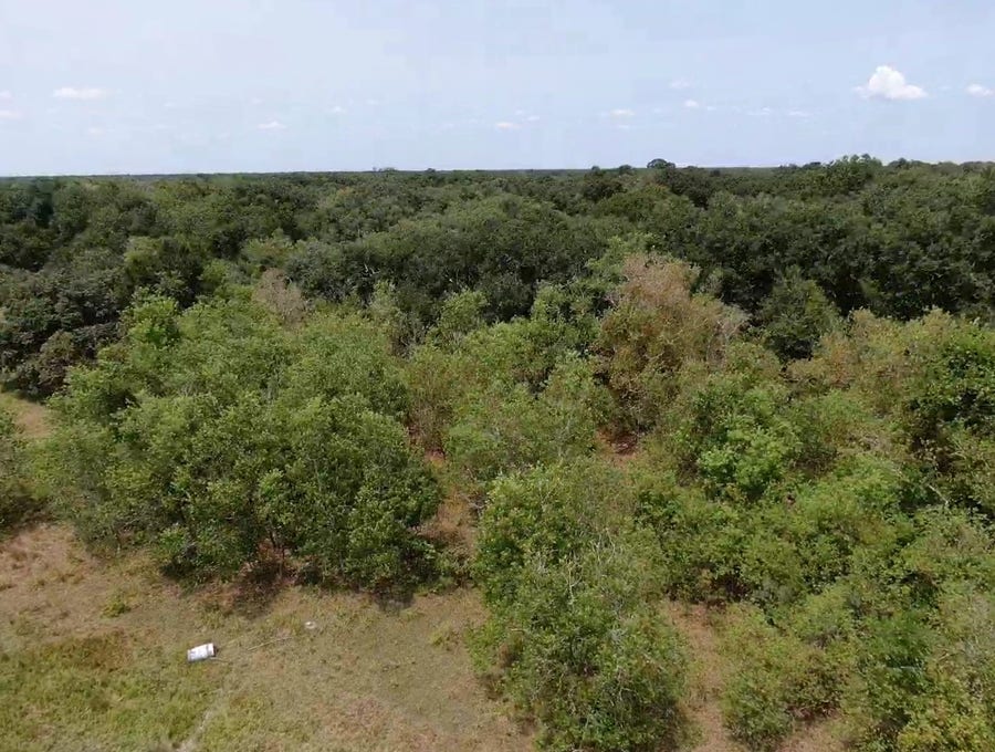 Property photo for 7800 B Brazos River Road, Damon, TX