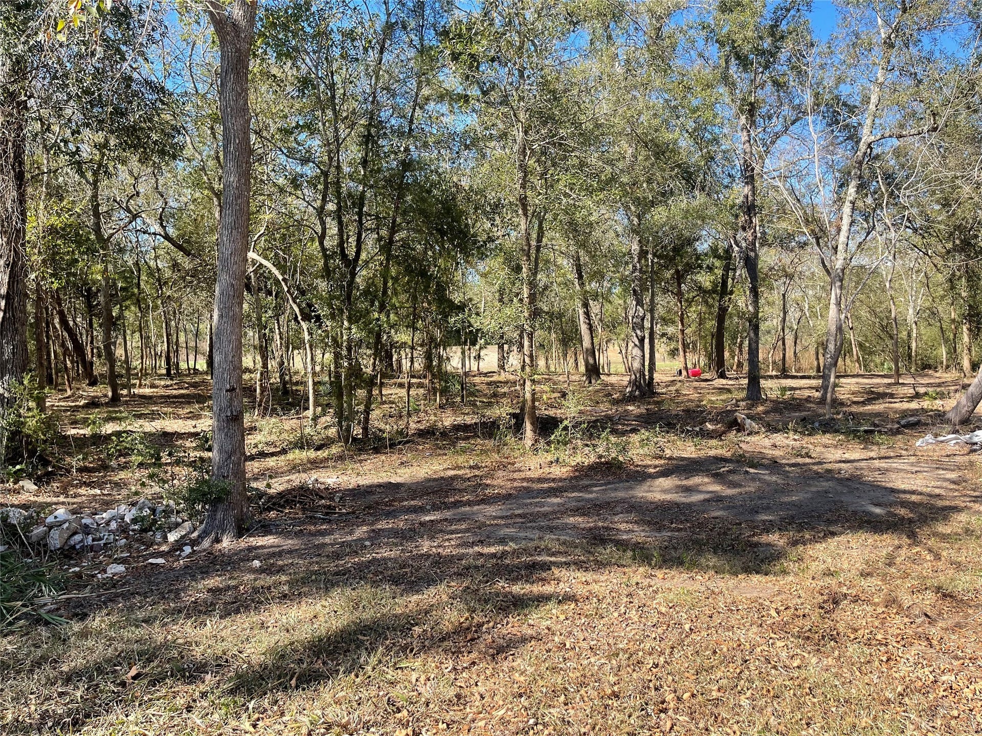 0 Creekview Ct Drive, Friendswood, TX 77546 0 Creekview Ct Drive, Friendswood, TX 77546