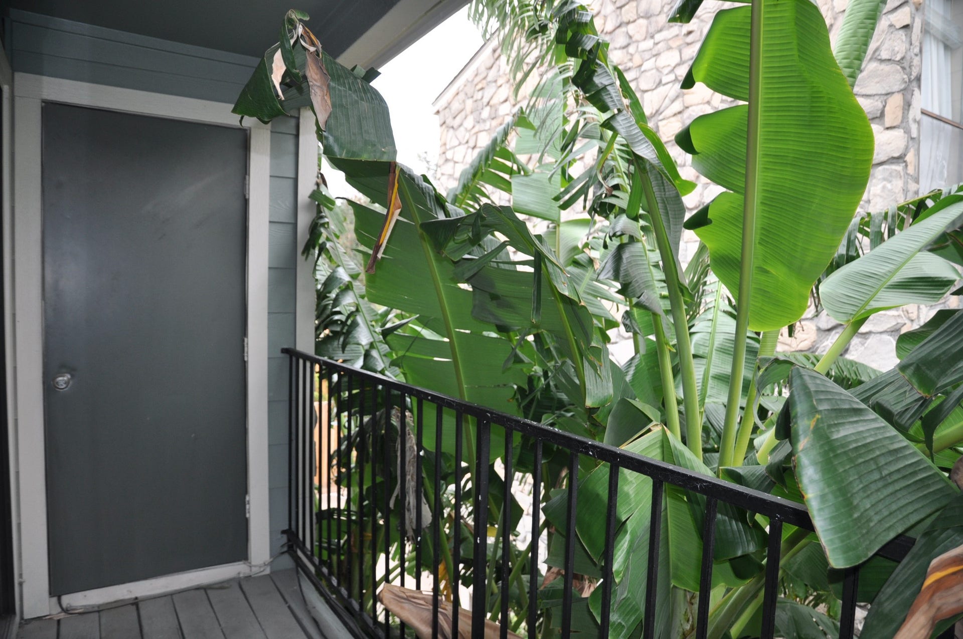 3754 Tanglewilde Street, #C16, Houston, TX 77063 3754 Tanglewilde Street, #C16, Houston, TX 77063