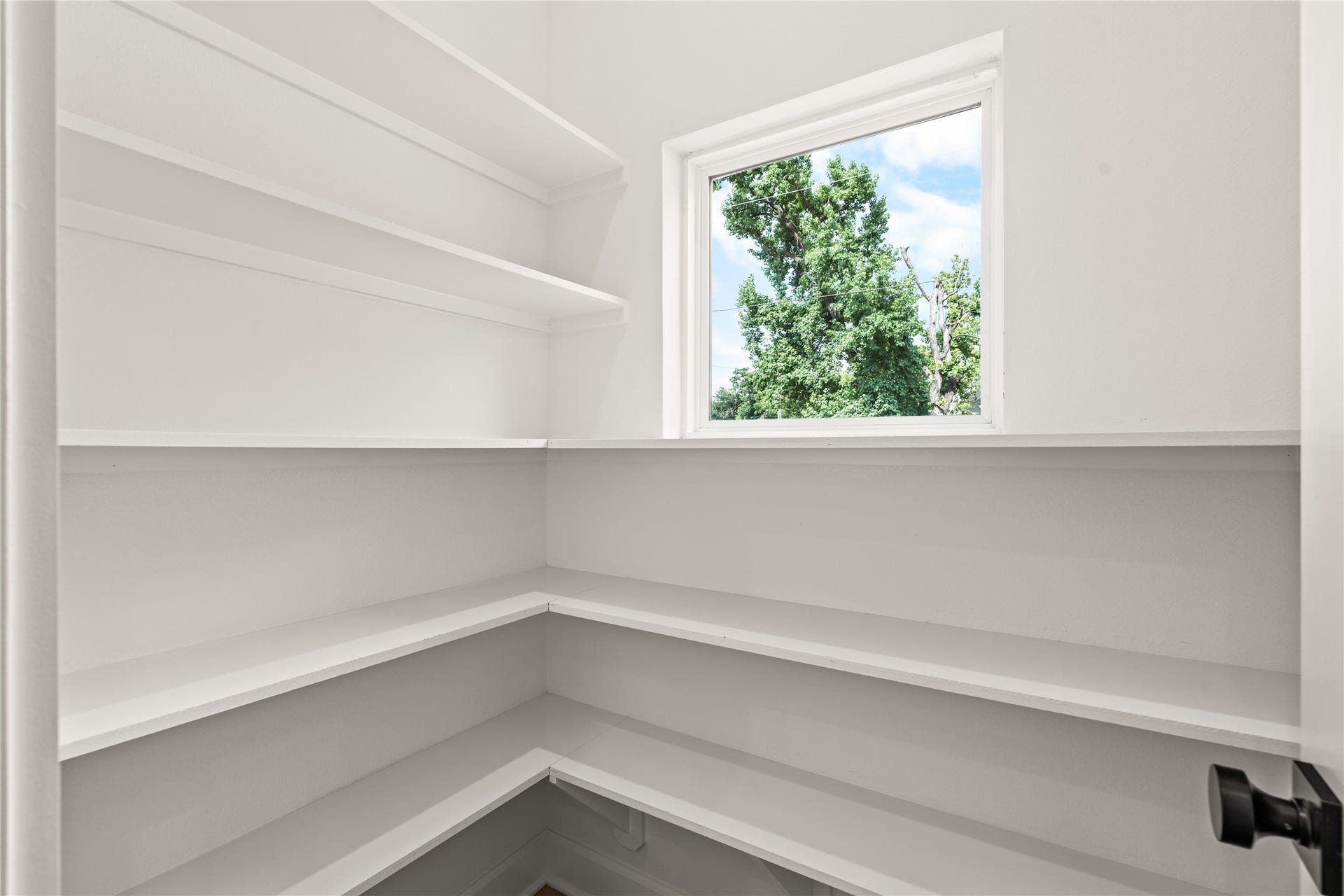 7432-7444 Tremper Street, Houston, TX 77020 Bright, walk-in pantry featuring wrapped built-in shelving and a large window looking out at mature trees.
