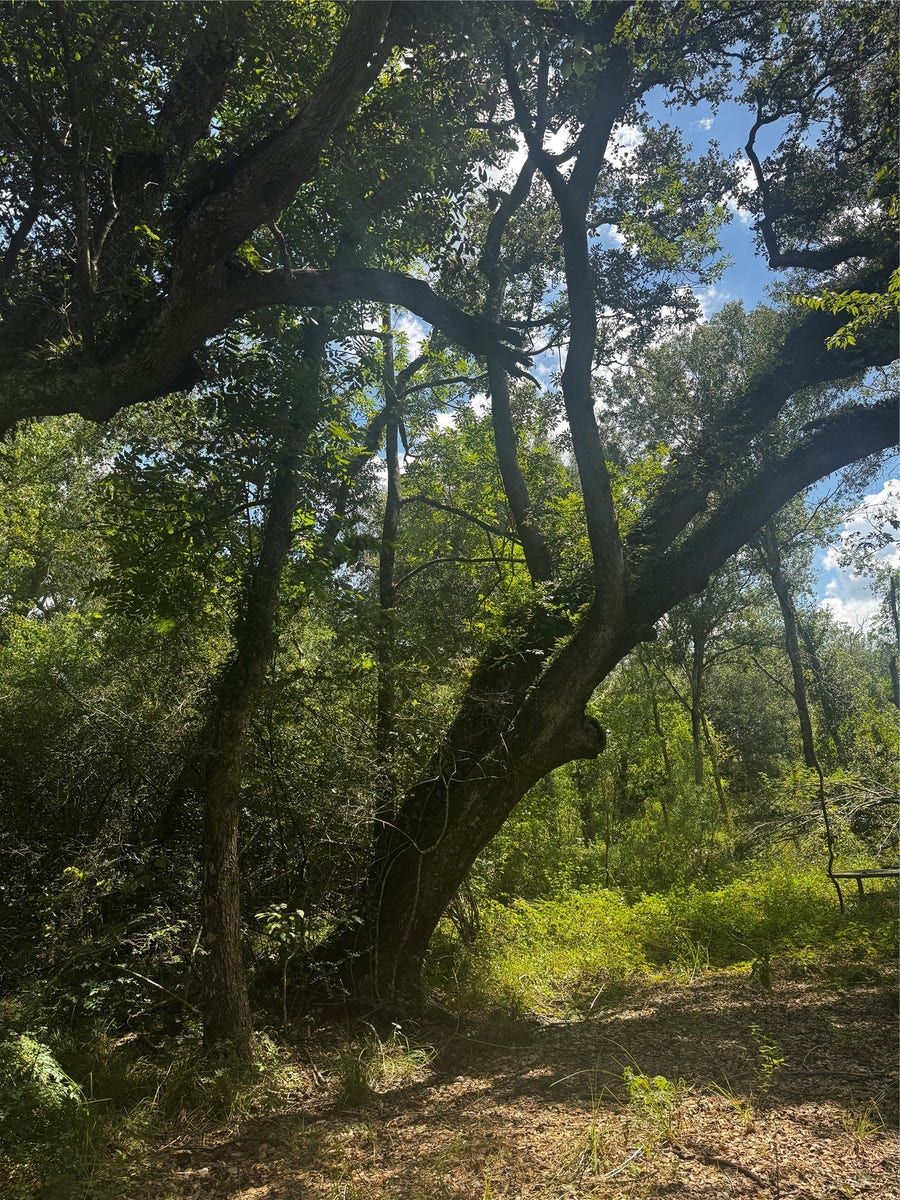 Property photo for 7800 A Brazos River Road, Damon, TX