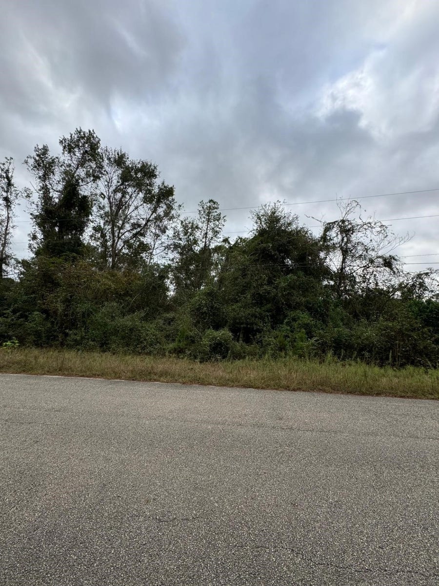Property photo for 19143 Serpenteer Drive, Porter, TX