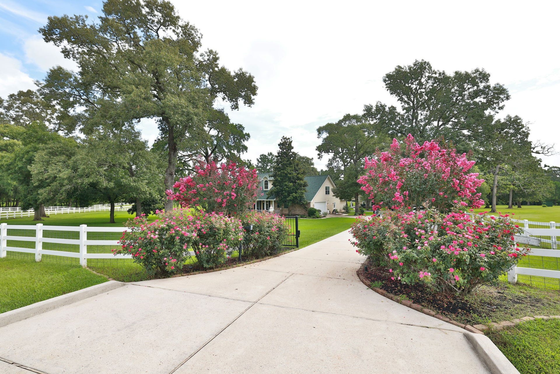 34310 High Point Drive, Magnolia, TX 77355 Charming country home set on a spacious property with a lush green lawn. A welcoming driveway lined with vibrant pink flowering bushes leads to the house. Surrounded by mature trees and a white fence, offering privacy and a picturesque setting.