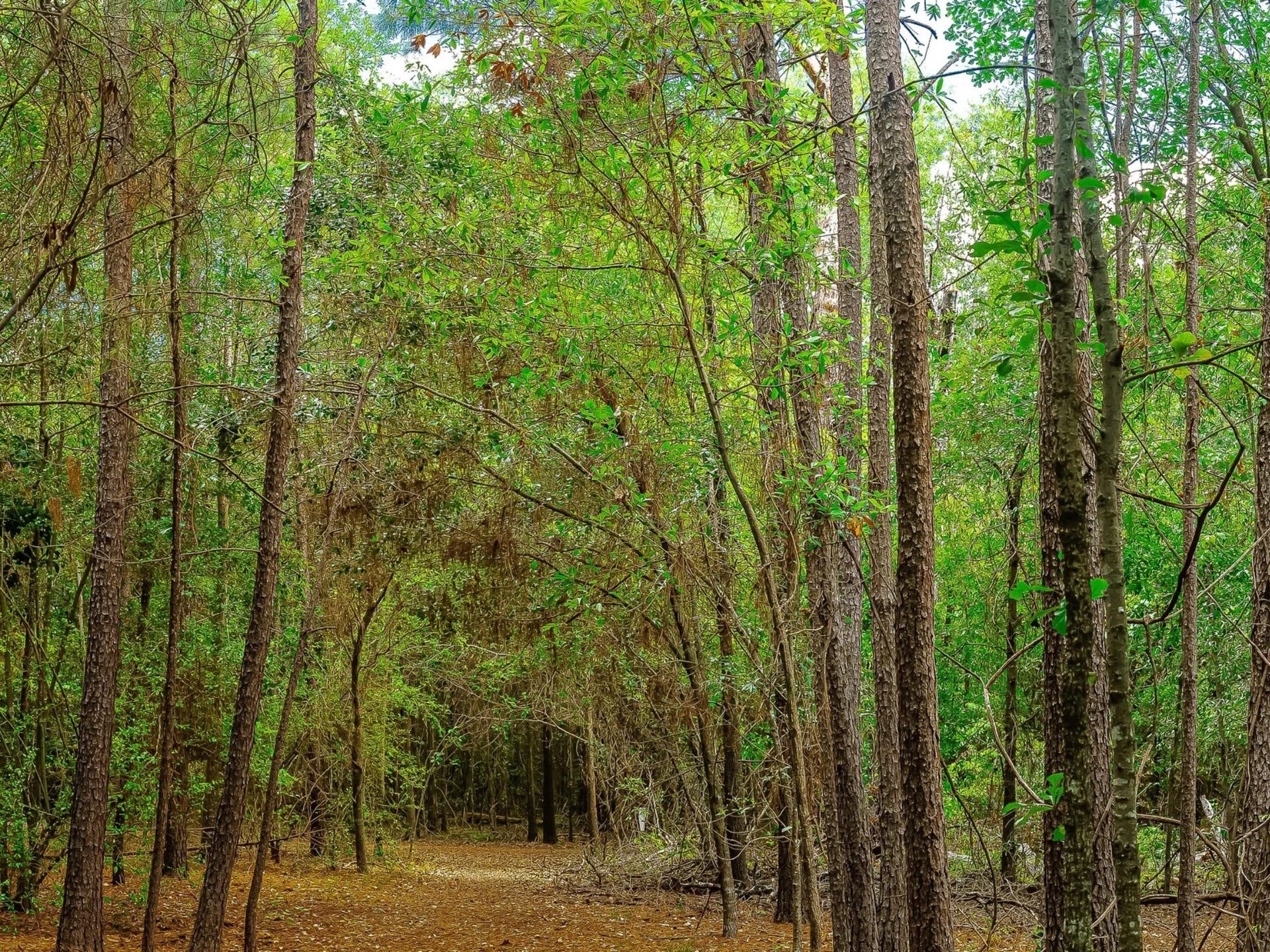 837 E 27th Street, Houston, TX 77009 Discover serene natural beauty just 3.7 miles away at Lorraine Cherry Nature Preserve, offering peaceful trails and lush surroundings.