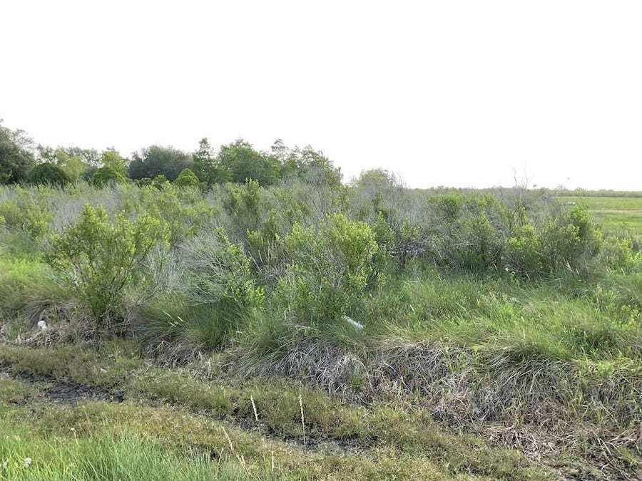 Property photo for 0 County Road 595, Angleton, TX