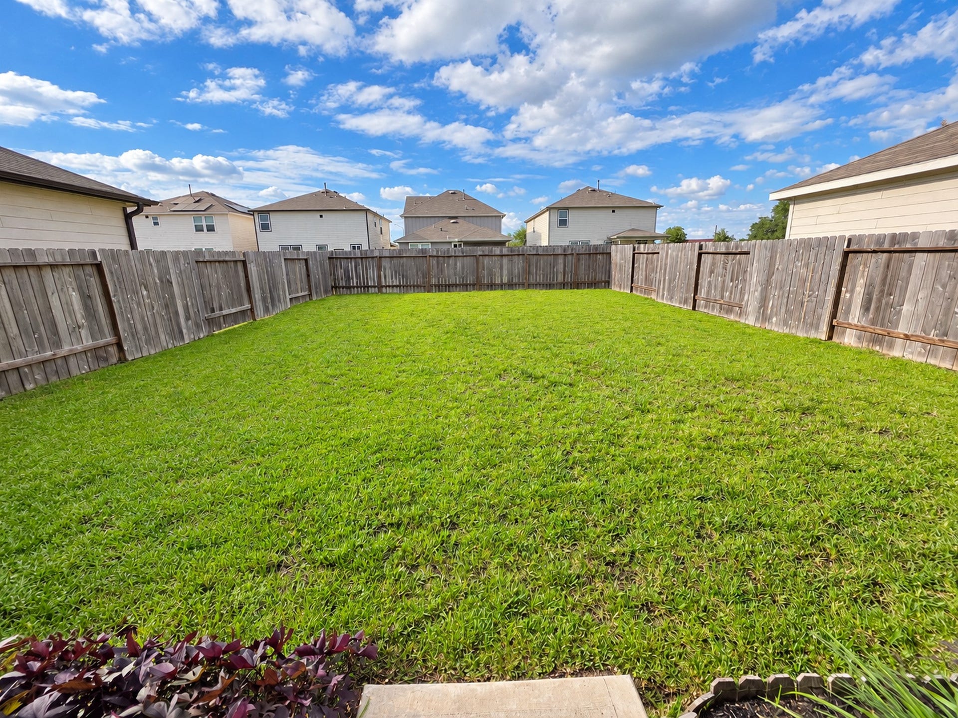 26501 Red Clover Drive, Magnolia, TX 77355 26501 Red Clover Drive, Magnolia, TX 77355