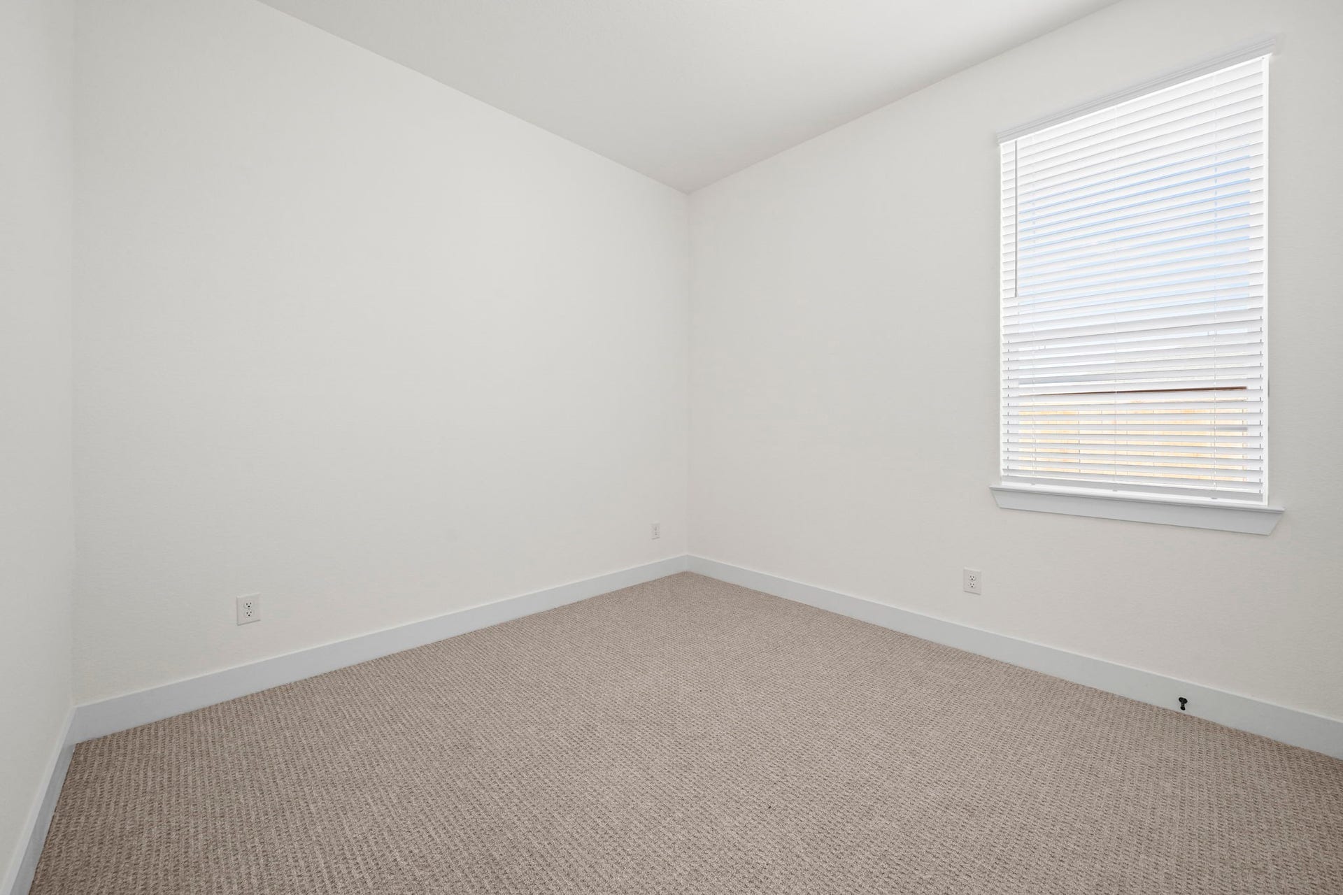 11218 White Crownbeard Drive, Cypress, TX 77433