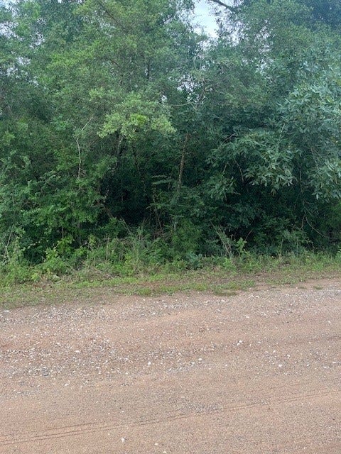 0 Deerwood Drive, Hempstead, TX 77445 0 Deerwood Drive, Hempstead, TX 77445