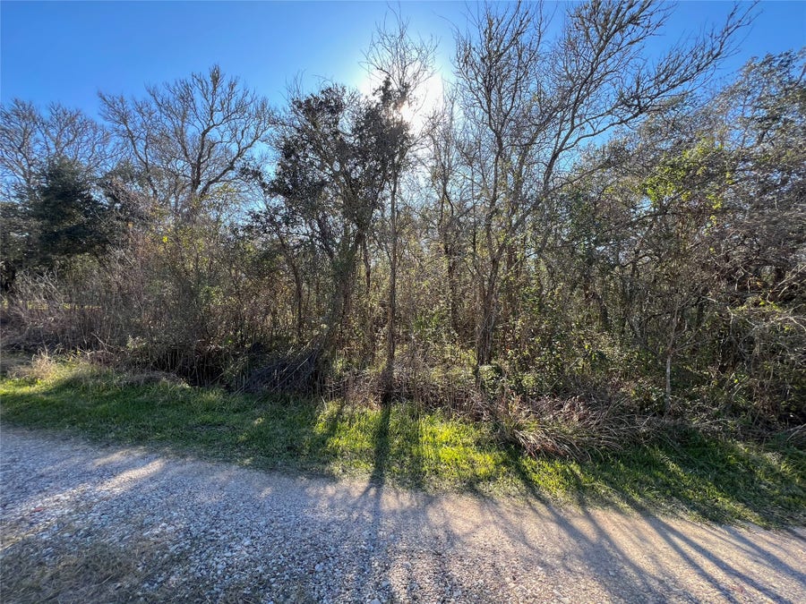 Property photo for 0 Segundo, Brazoria, TX