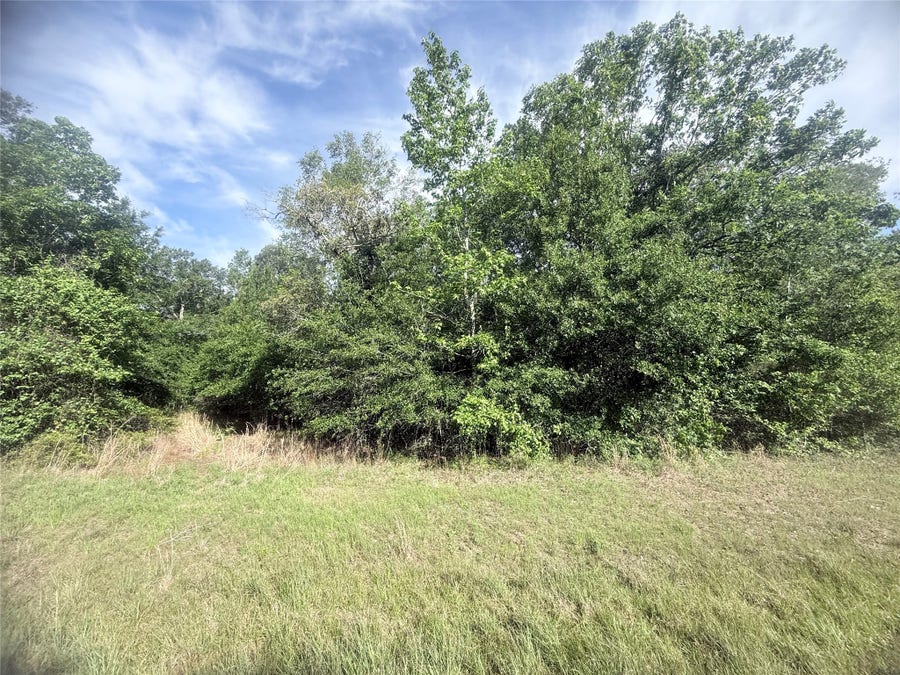 Property photo for 21203 Grant Lake Circle, Cleveland, TX