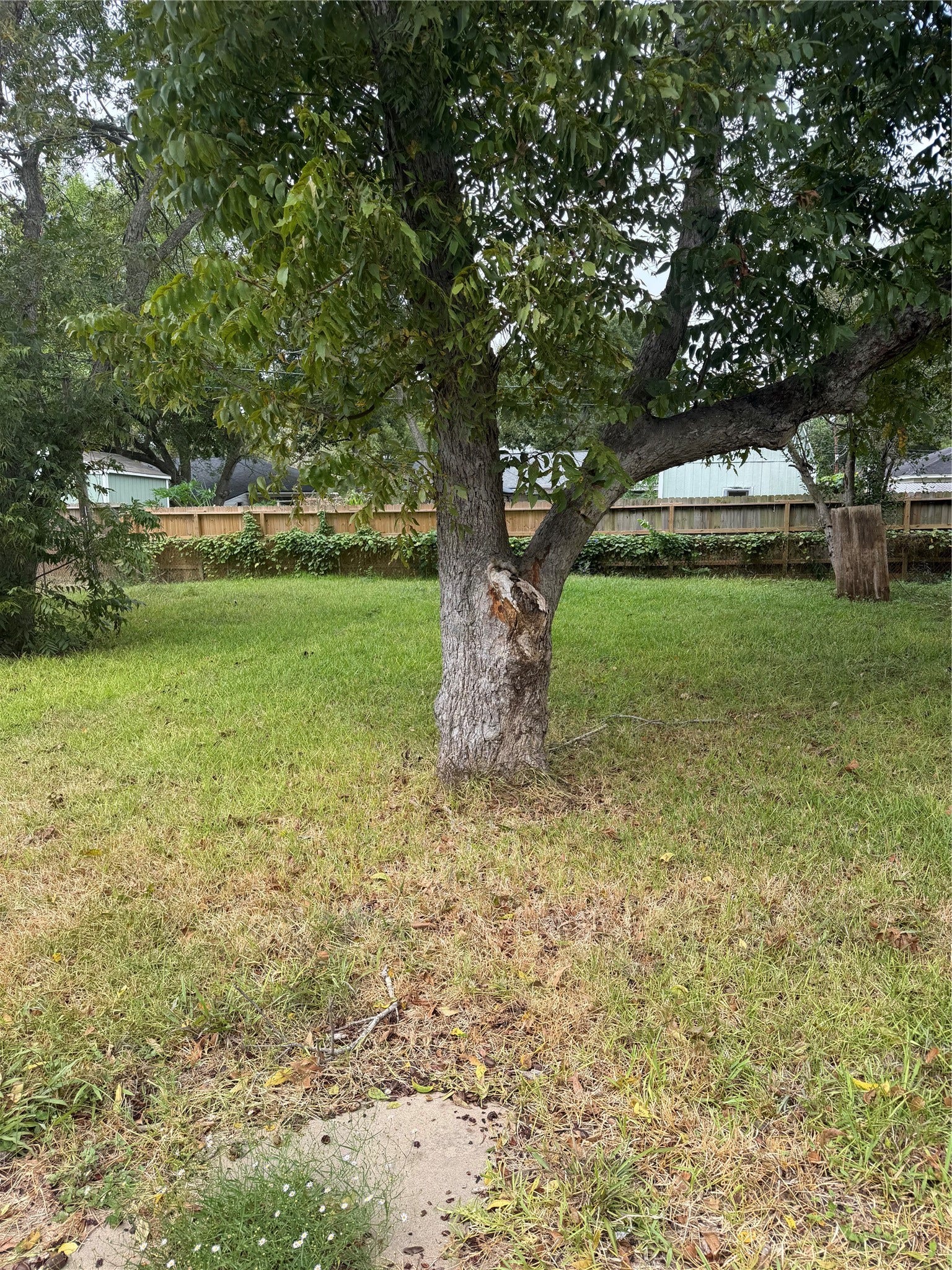 1610 2nd Street, League City, TX 77573 1610 2nd Street, League City, TX 77573
