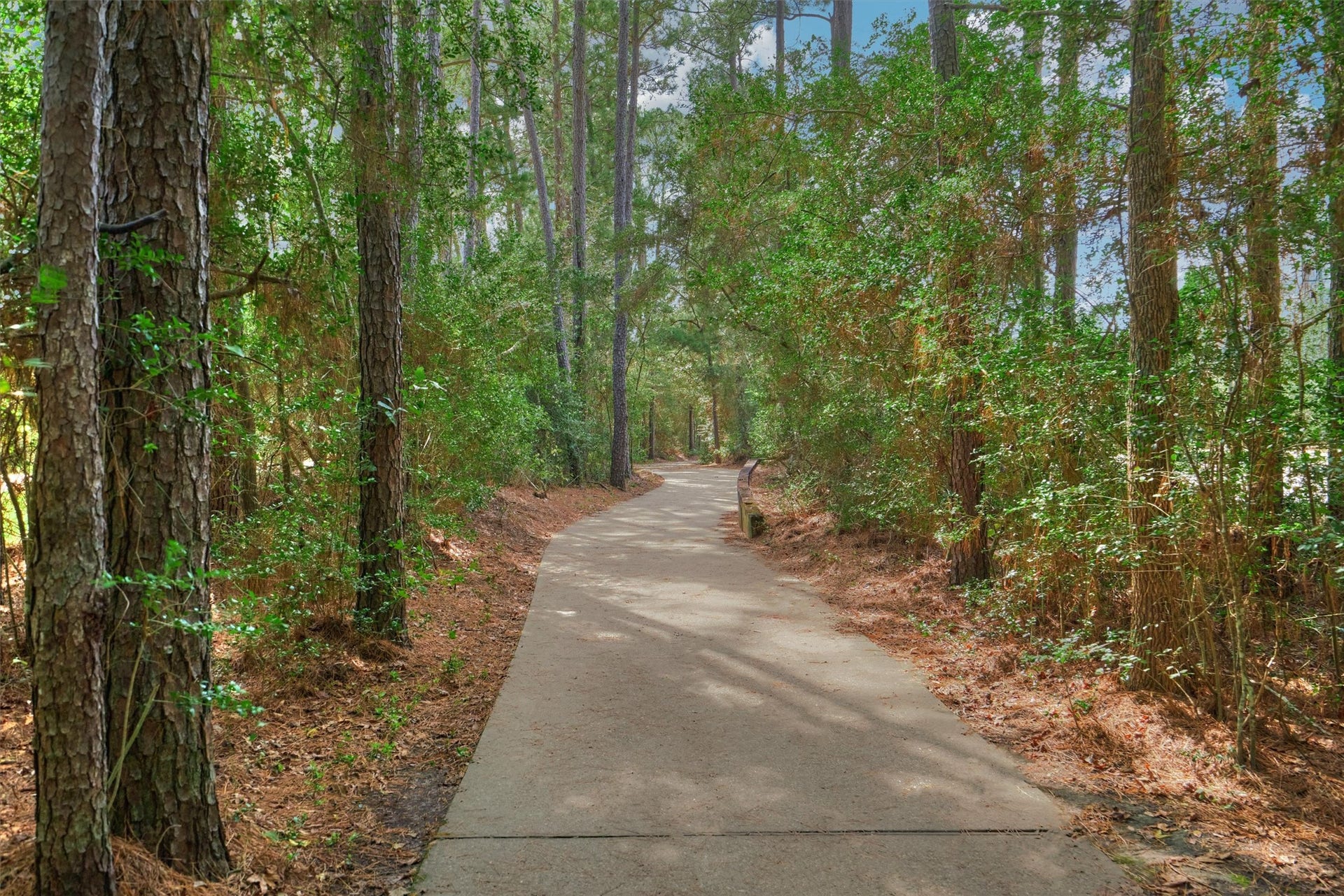 38 E Gaslight Place, The Woodlands, TX 77382 Walk to the nearby Alden Bridge Park. The home is ideally located near lots fo trails, parks and community pools!