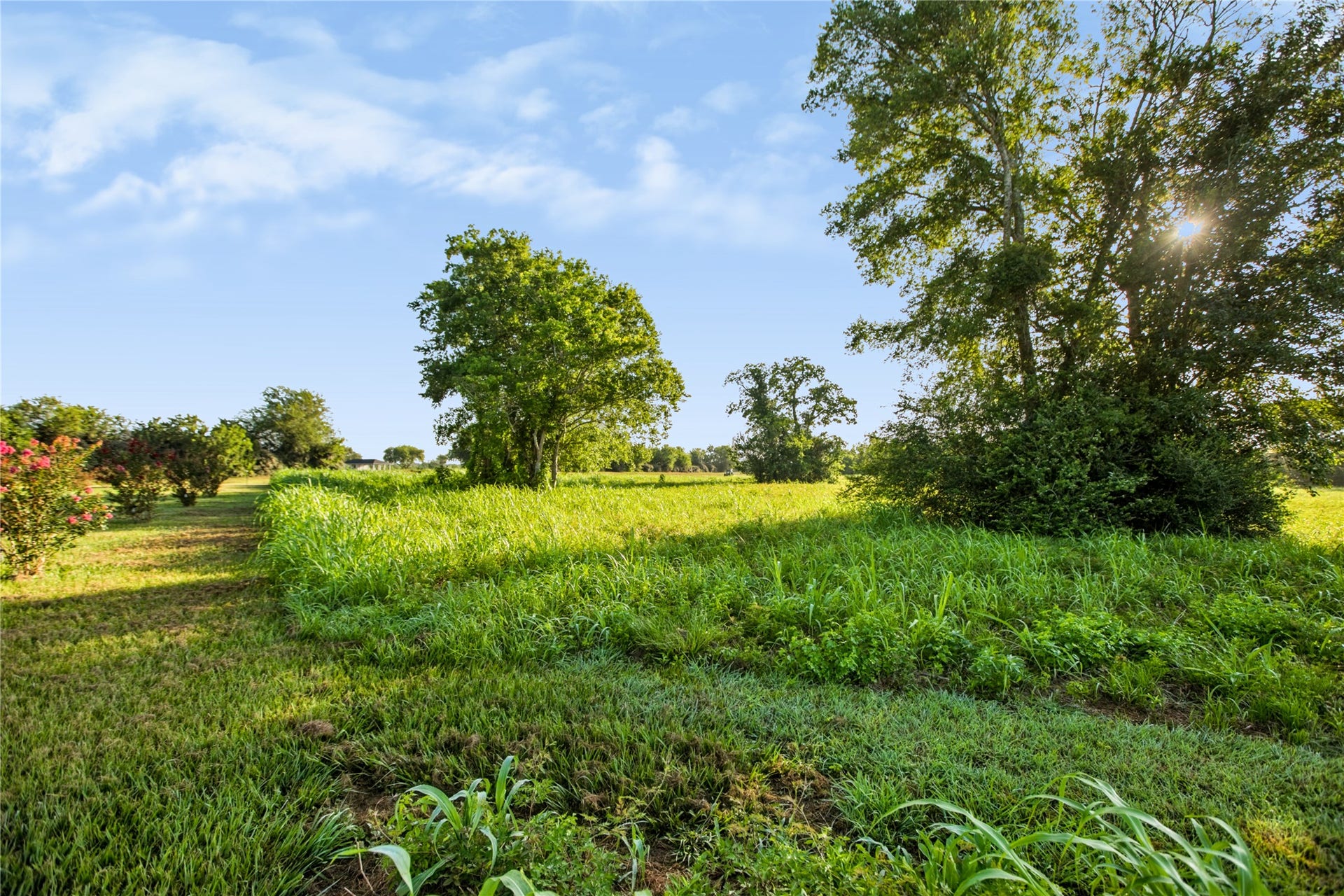 000 Penny Ln, Santa Fe, TX 77510 This property is ready for your dream home!